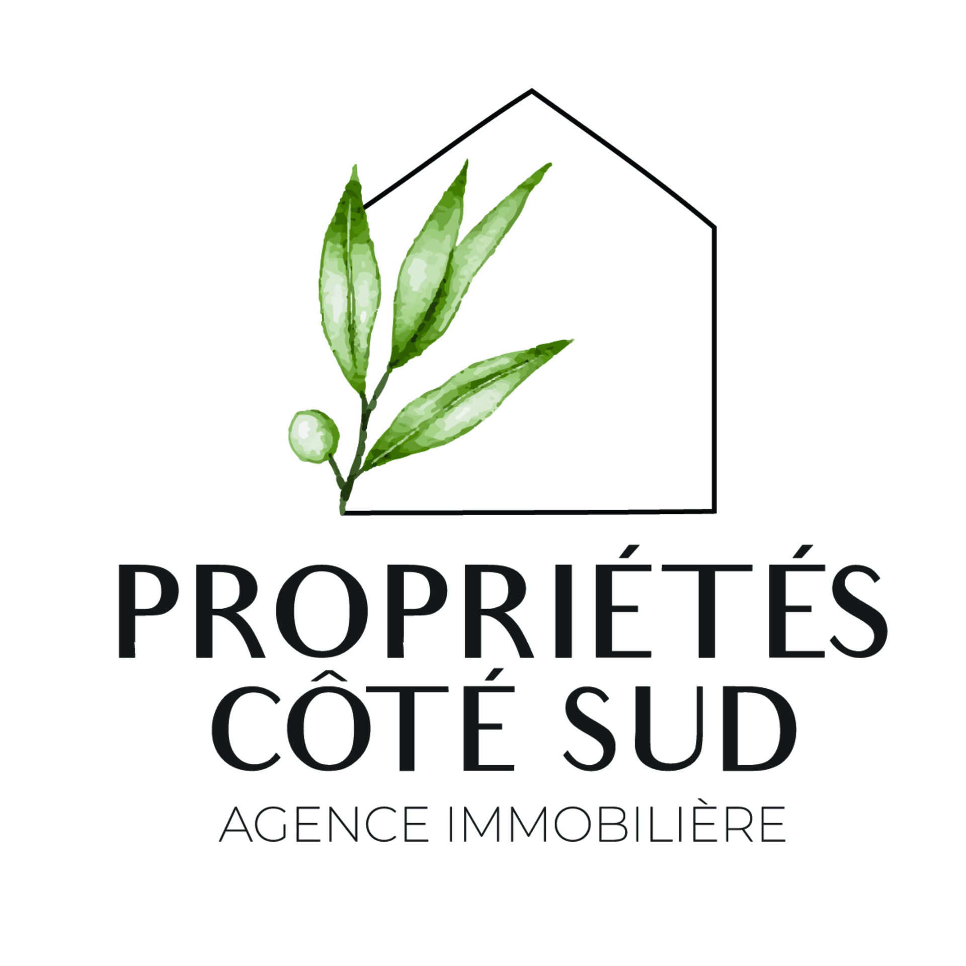 Logo Propriétés Côté Sud