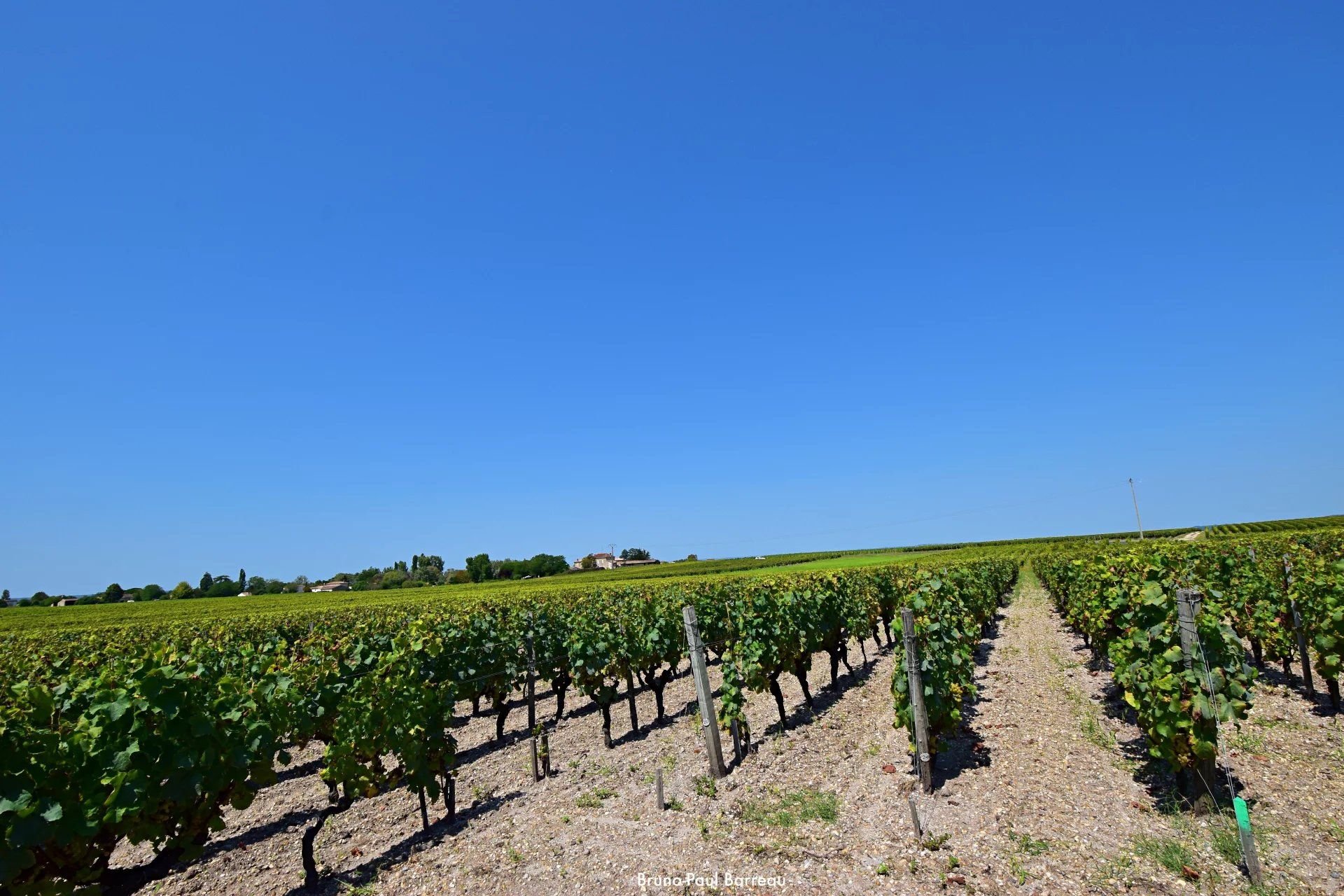 CHATEAU VITICOLE, BORDEAUX, SAUTERNES,  VUE PANORAMIQUE UNIQUE
