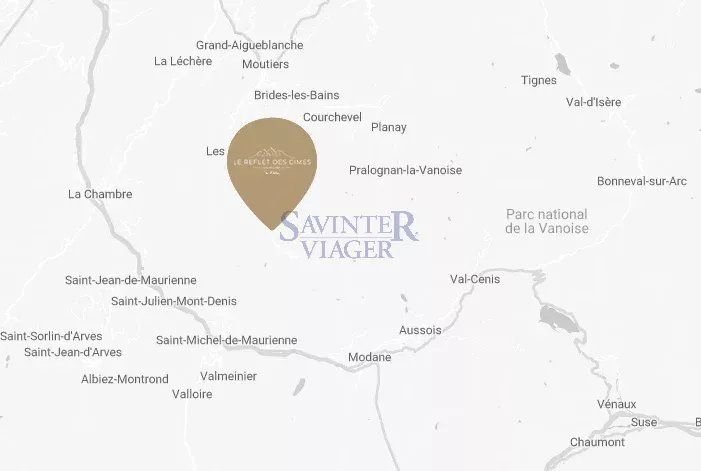T4. Située au centre du PLUS VASTE domaine skiable AU MONDE « Les 3 Vallées »