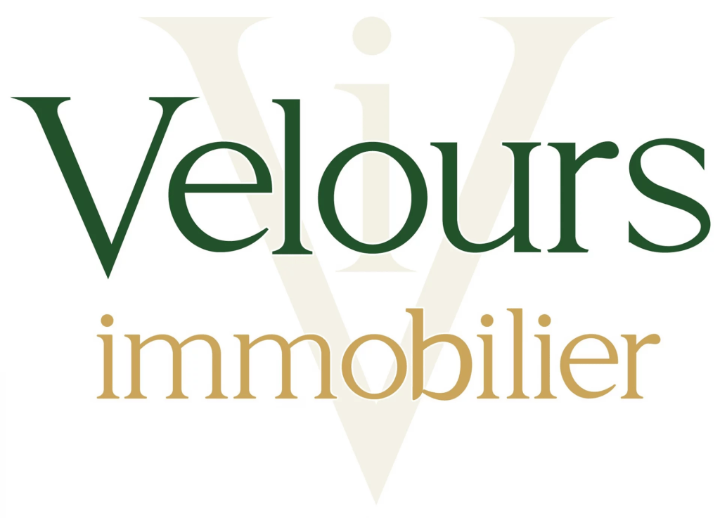 Logo VELOURS immobilier