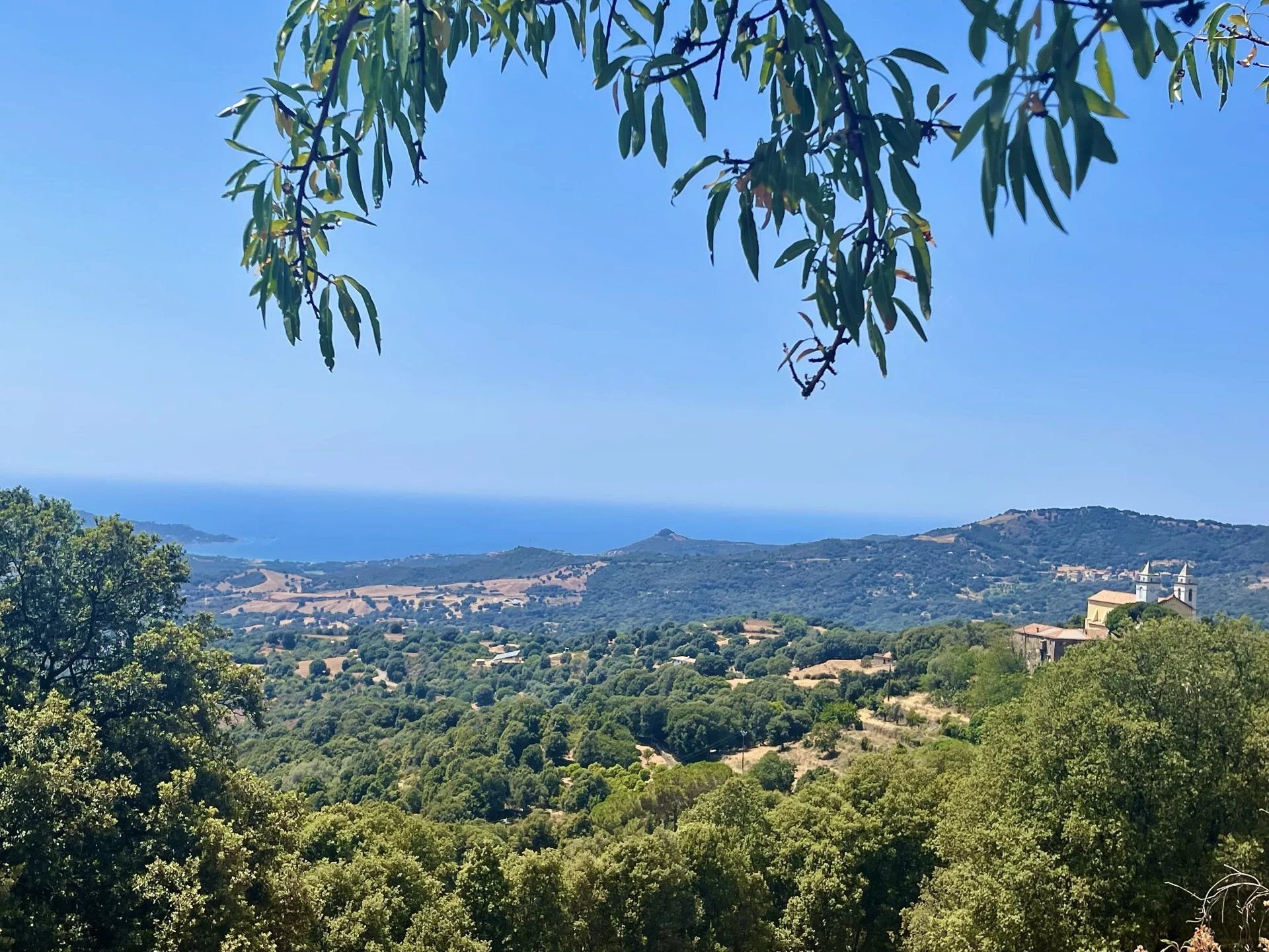 Villa Sari d'Orcino vue mer