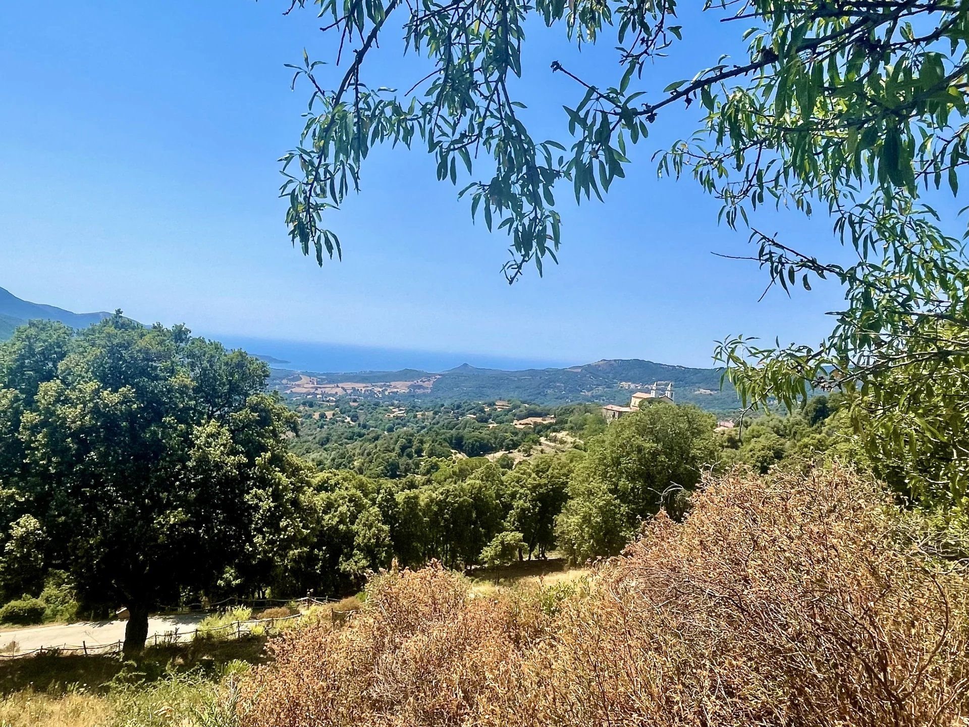 Villa Sari d'Orcino vue mer