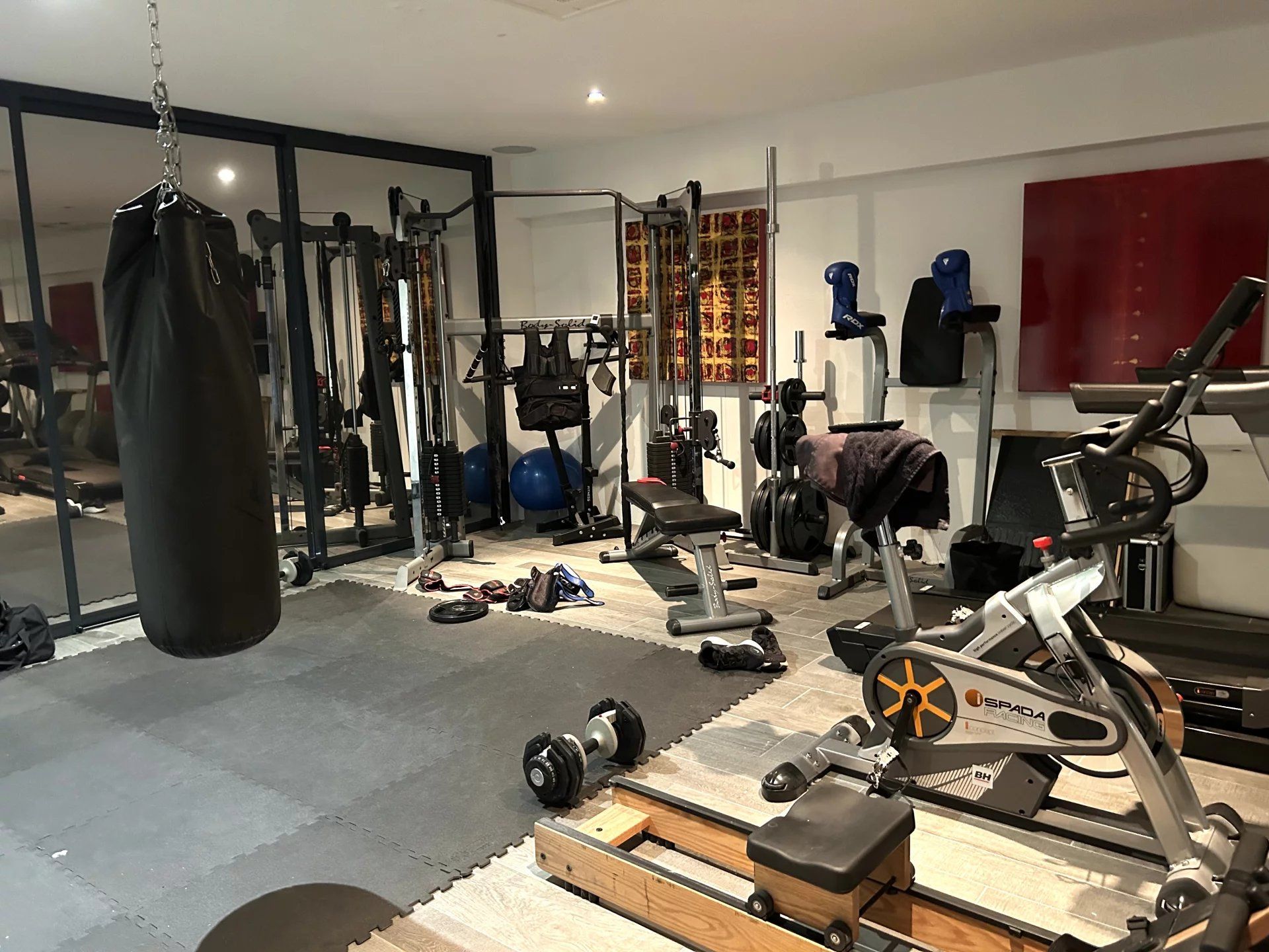 Luxurious village house in Aimargues, 551m2, 5 bedrooms and office, indoor and outdoor pool, meeting room, gym, dance studio, cinema, spa, hammam, no vis-à-vis