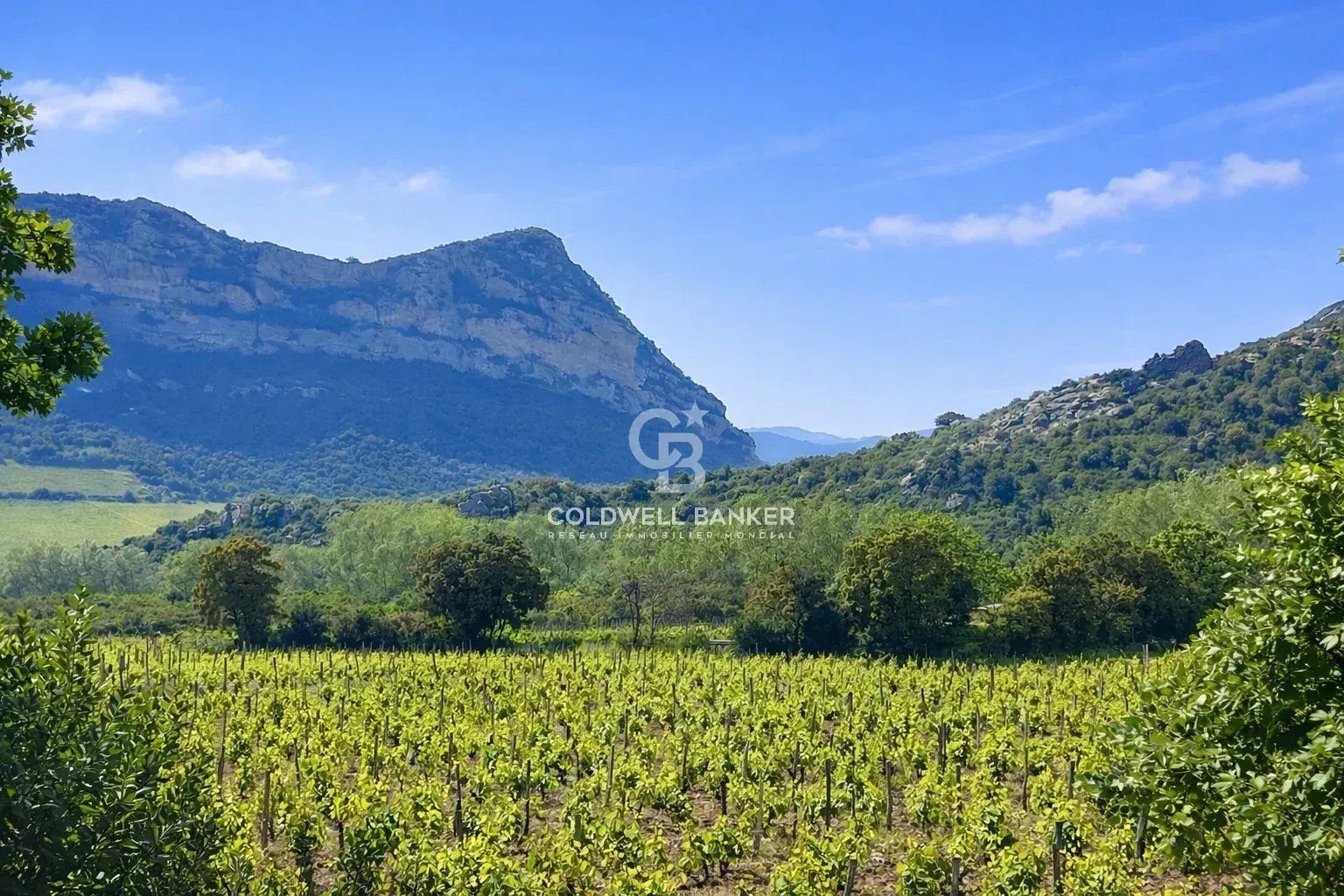 Saint-Florent - Domaine au coeur des Vignes
