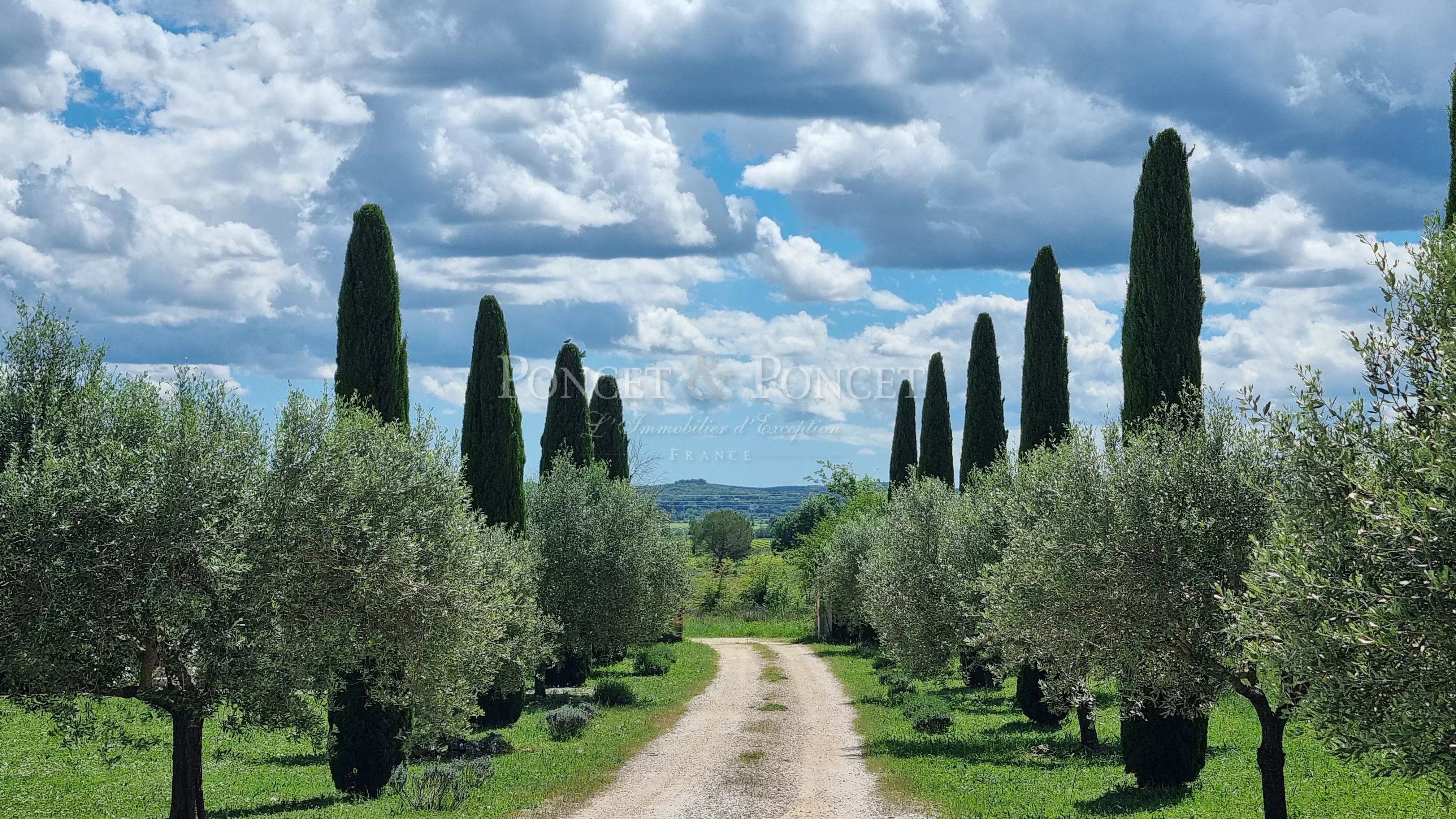 Domaine Viticole proche Uzès