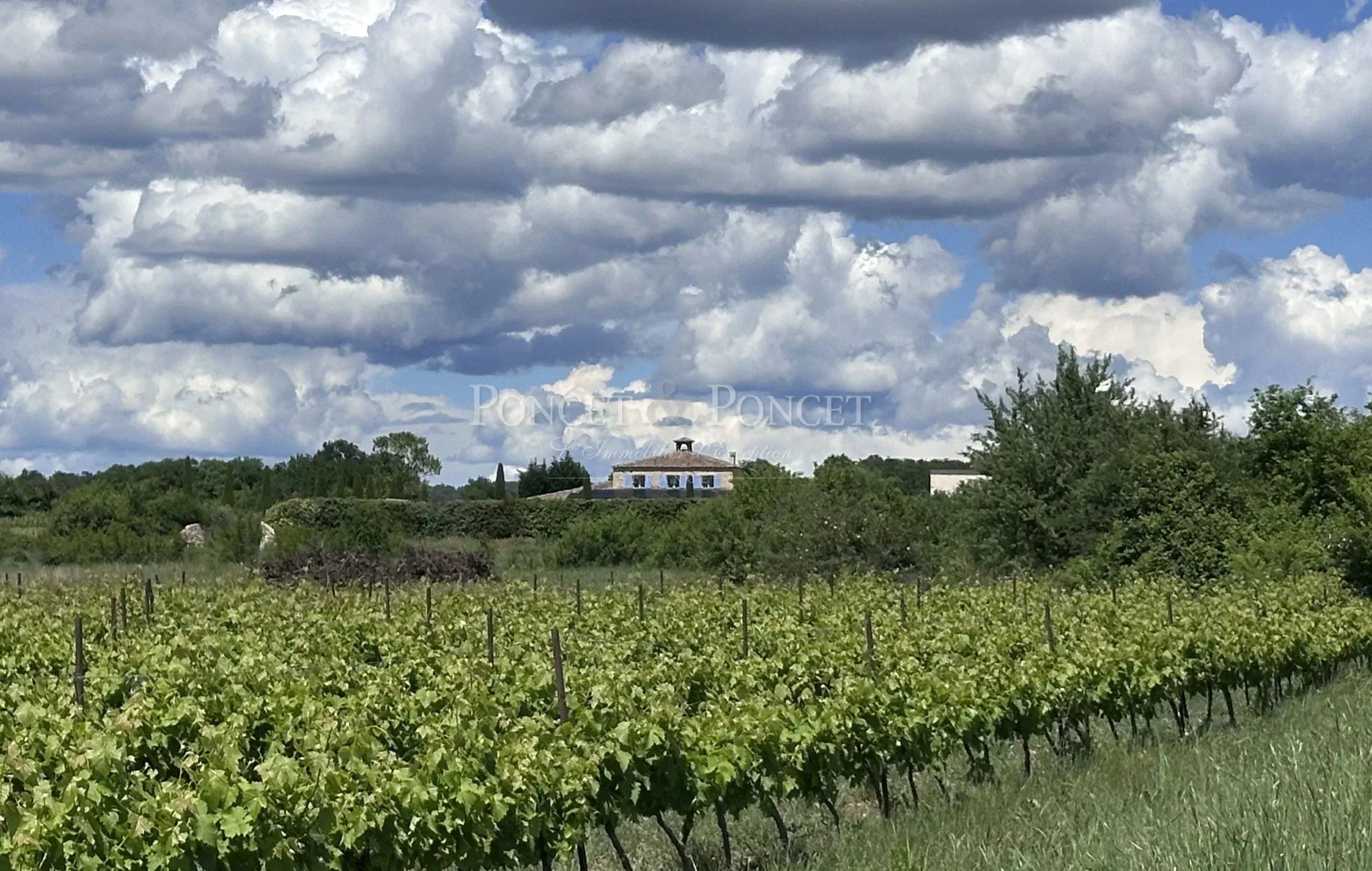 Domaine Viticole proche Uzès