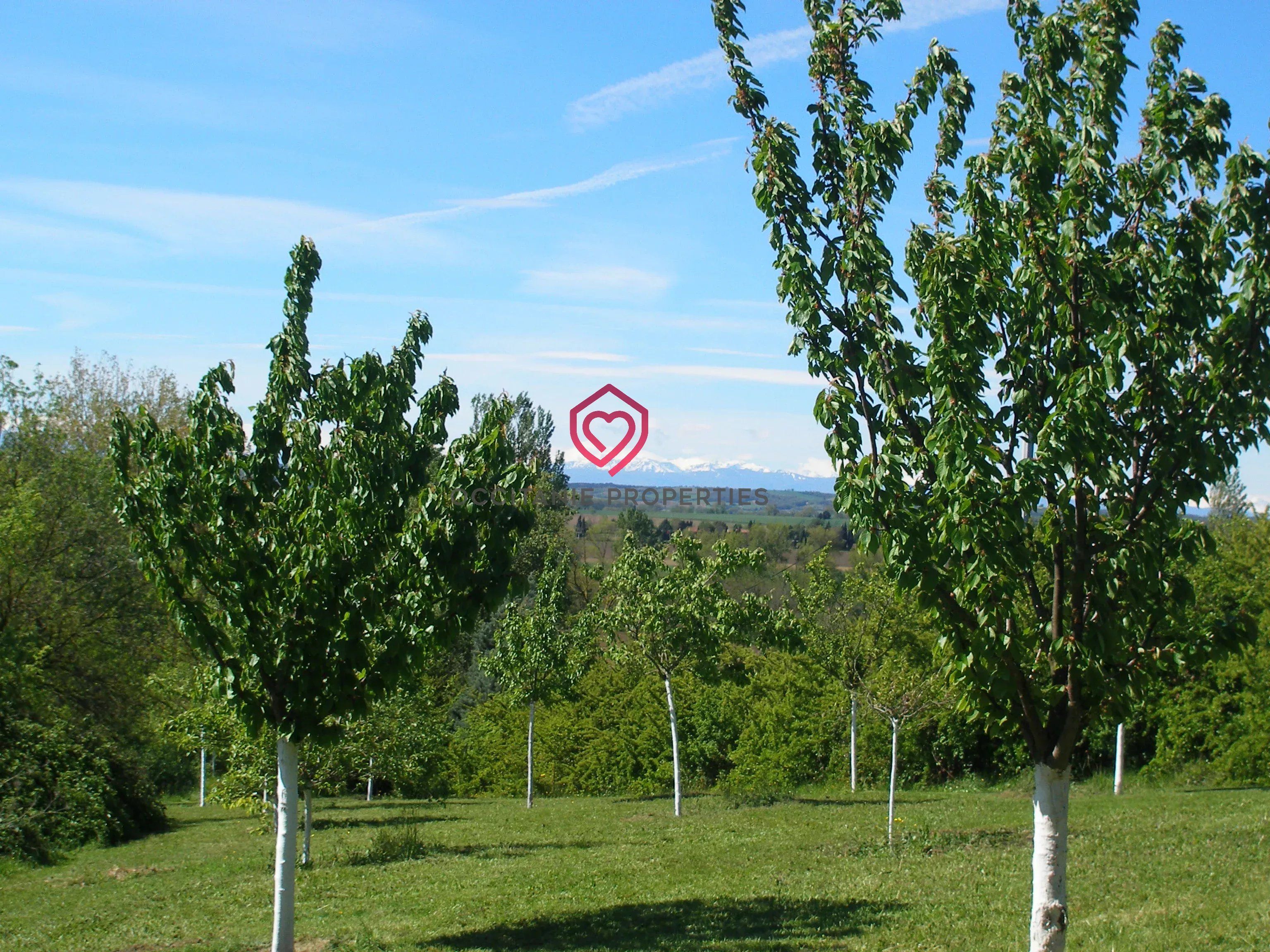 Grande Demeure de campagne sur parc 1.4ha: maison et 3 logements, grand potentiel, 12 min Castelnaudary/Revel