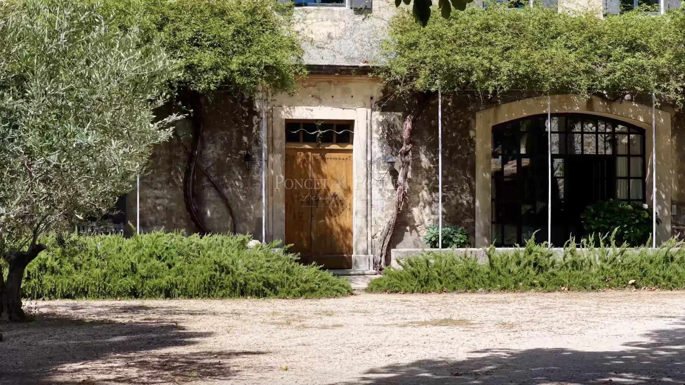 Entre vignes et oliviers, un domaine d’exception aux portes de Nîmes