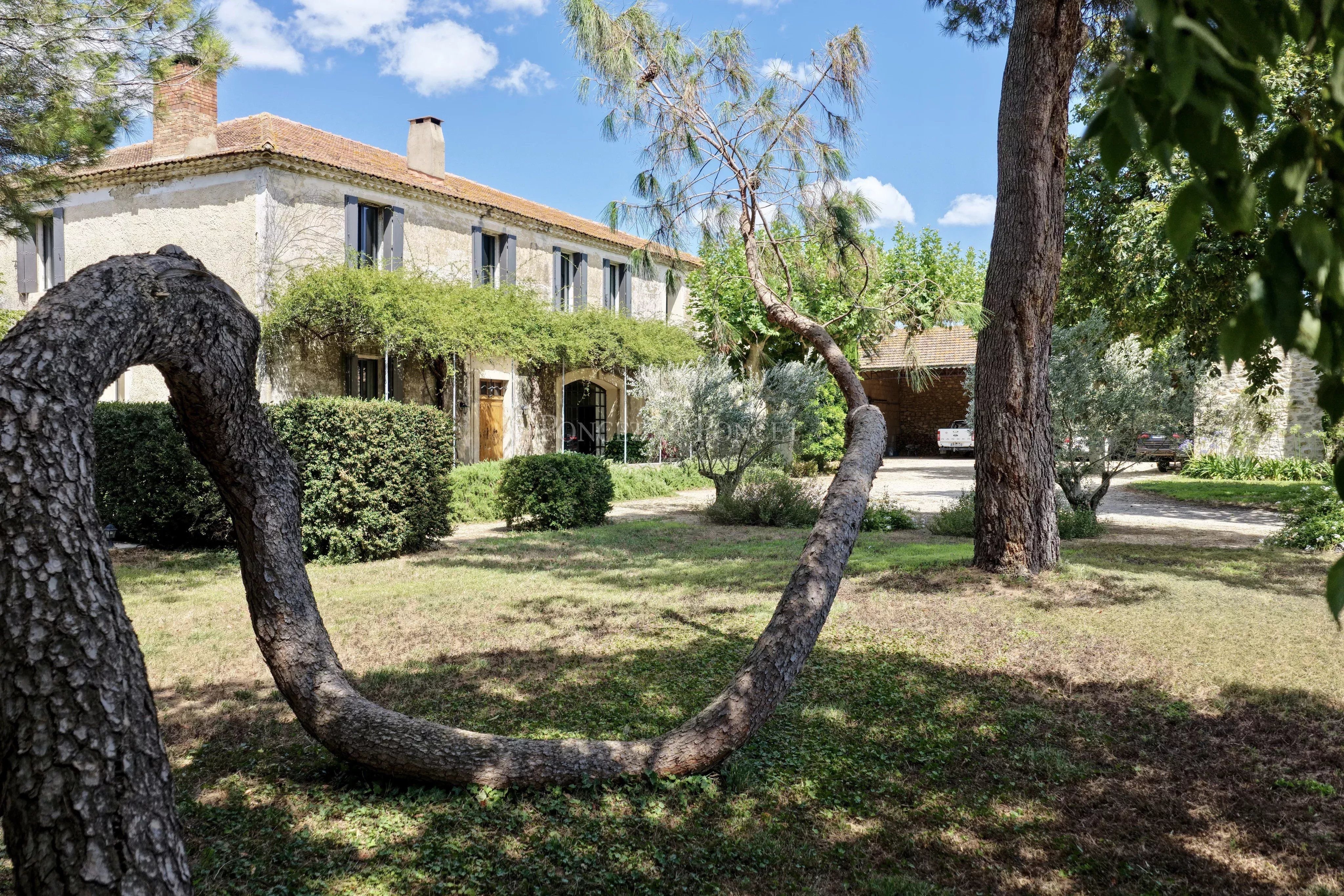 Entre vignes et oliviers, un domaine d’exception aux portes de Nîmes