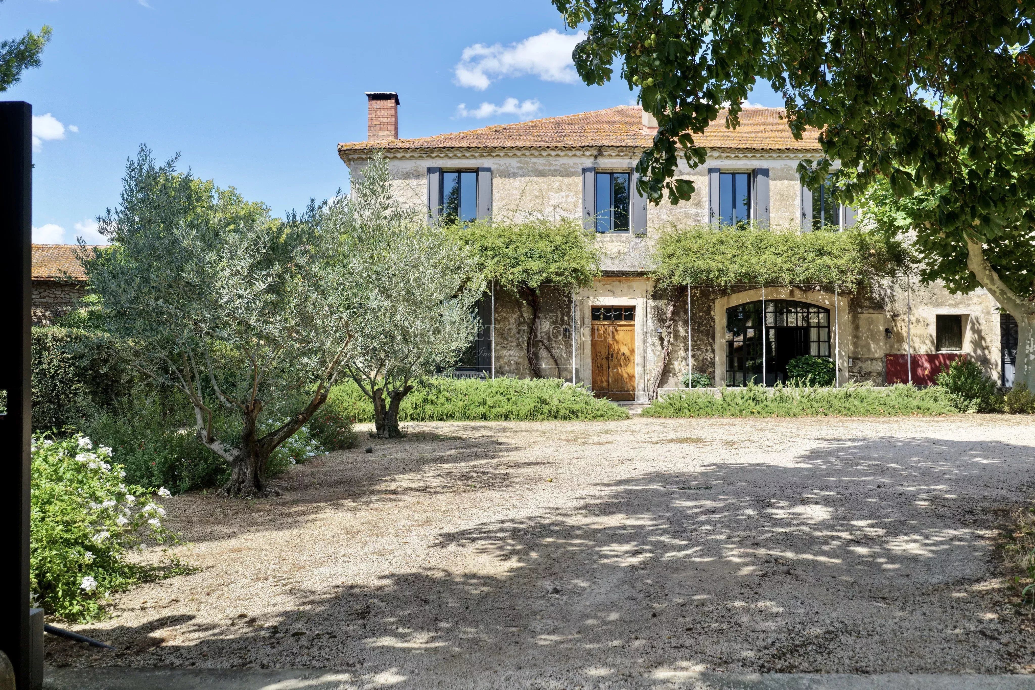 Entre vignes et oliviers, un domaine d’exception aux portes de Nîmes