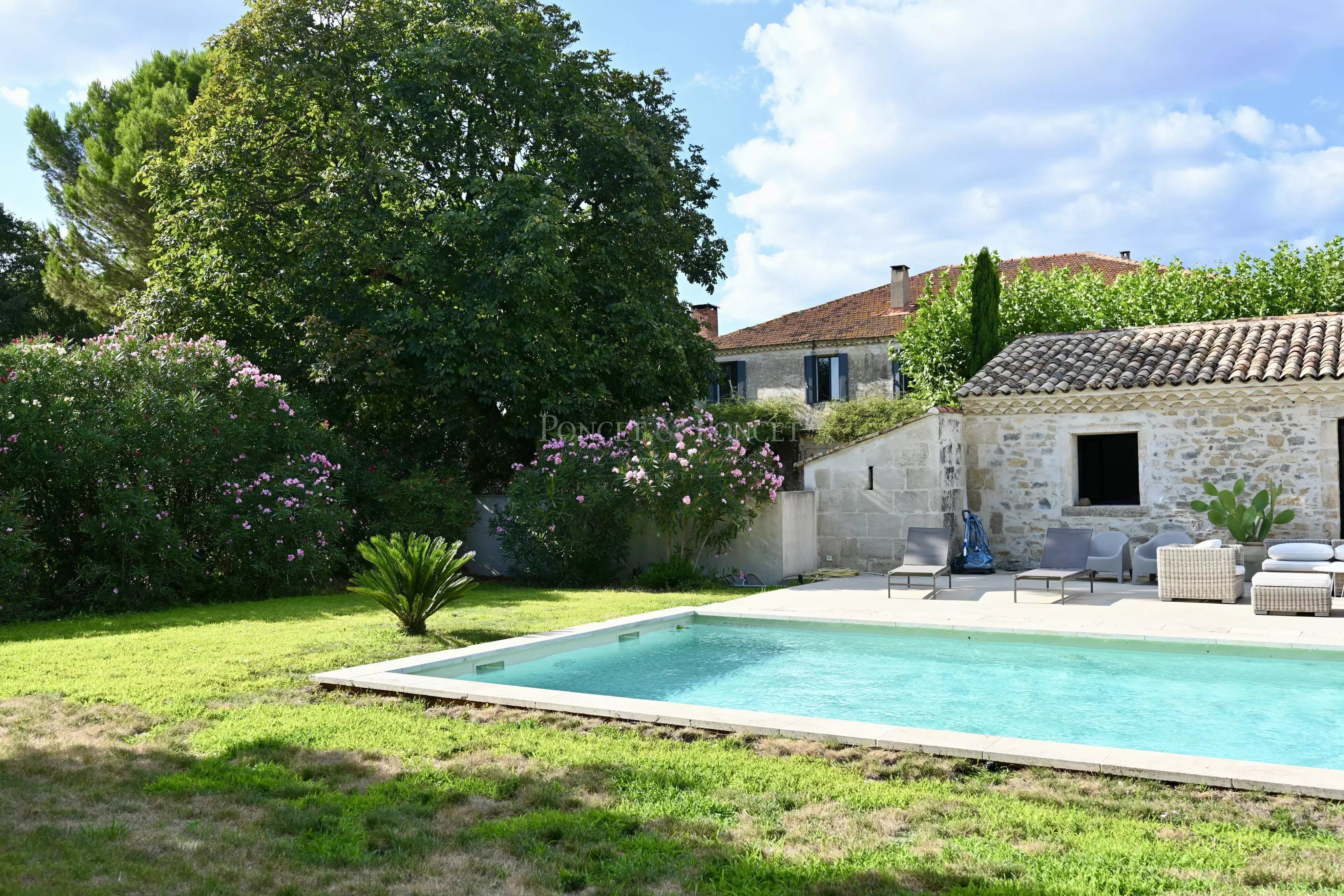 Entre vignes et oliviers, un domaine d’exception aux portes de Nîmes