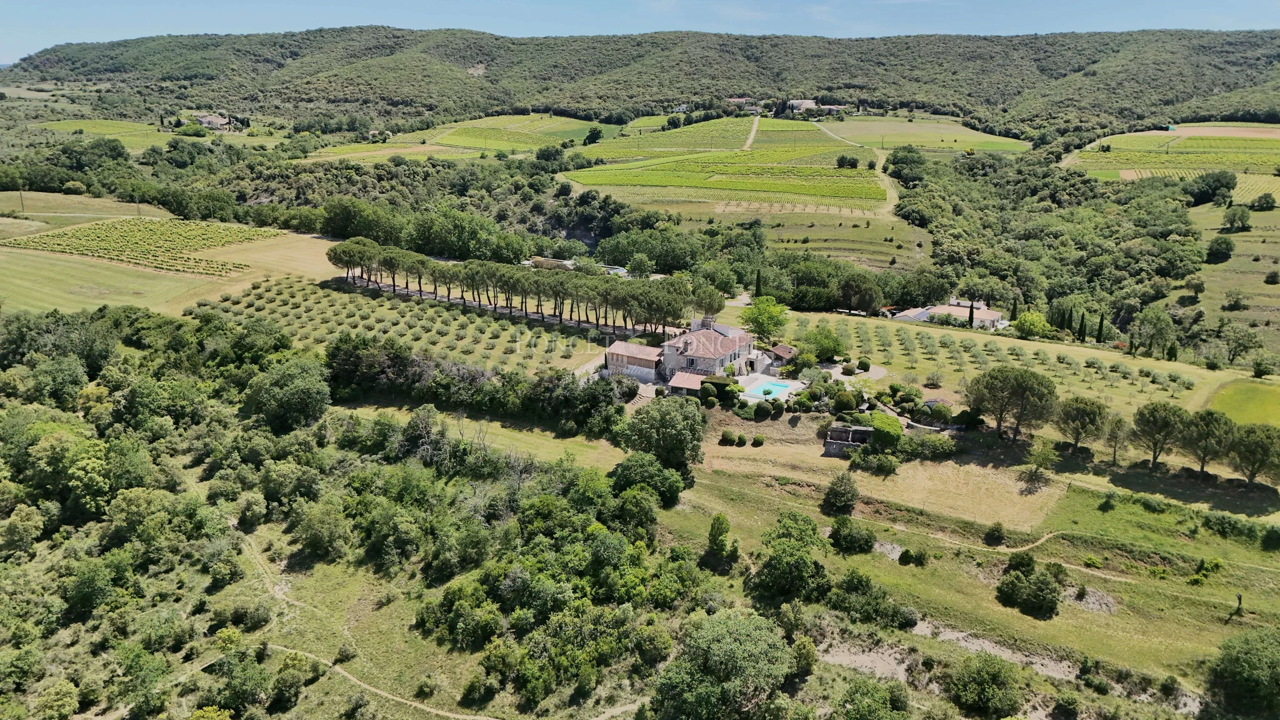 Domaine d’Exception entre Vignes et Oliviers