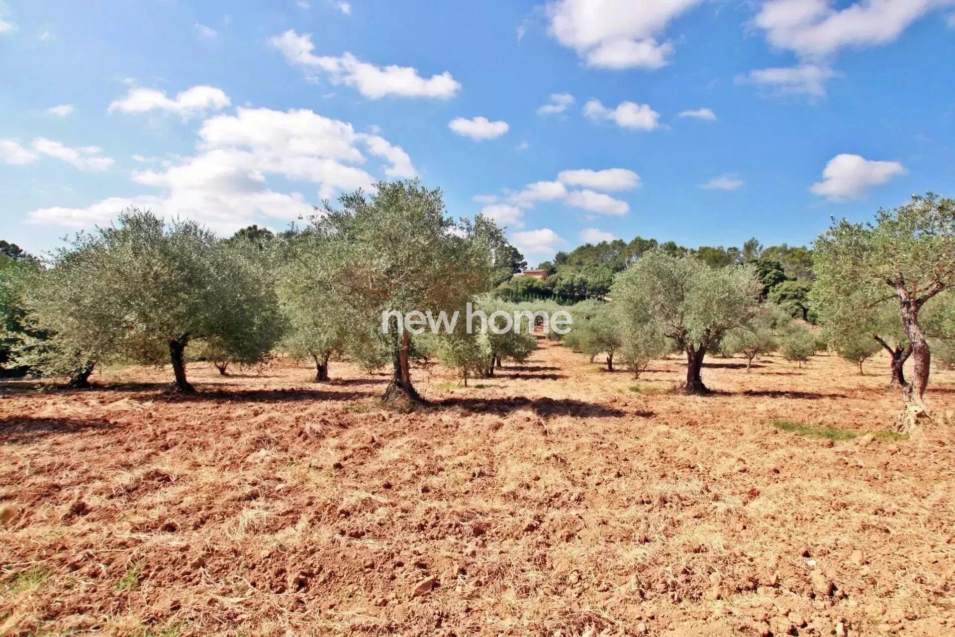 Un domaine provençal d’exception où luxe, authenticité et intimité se rencontrent