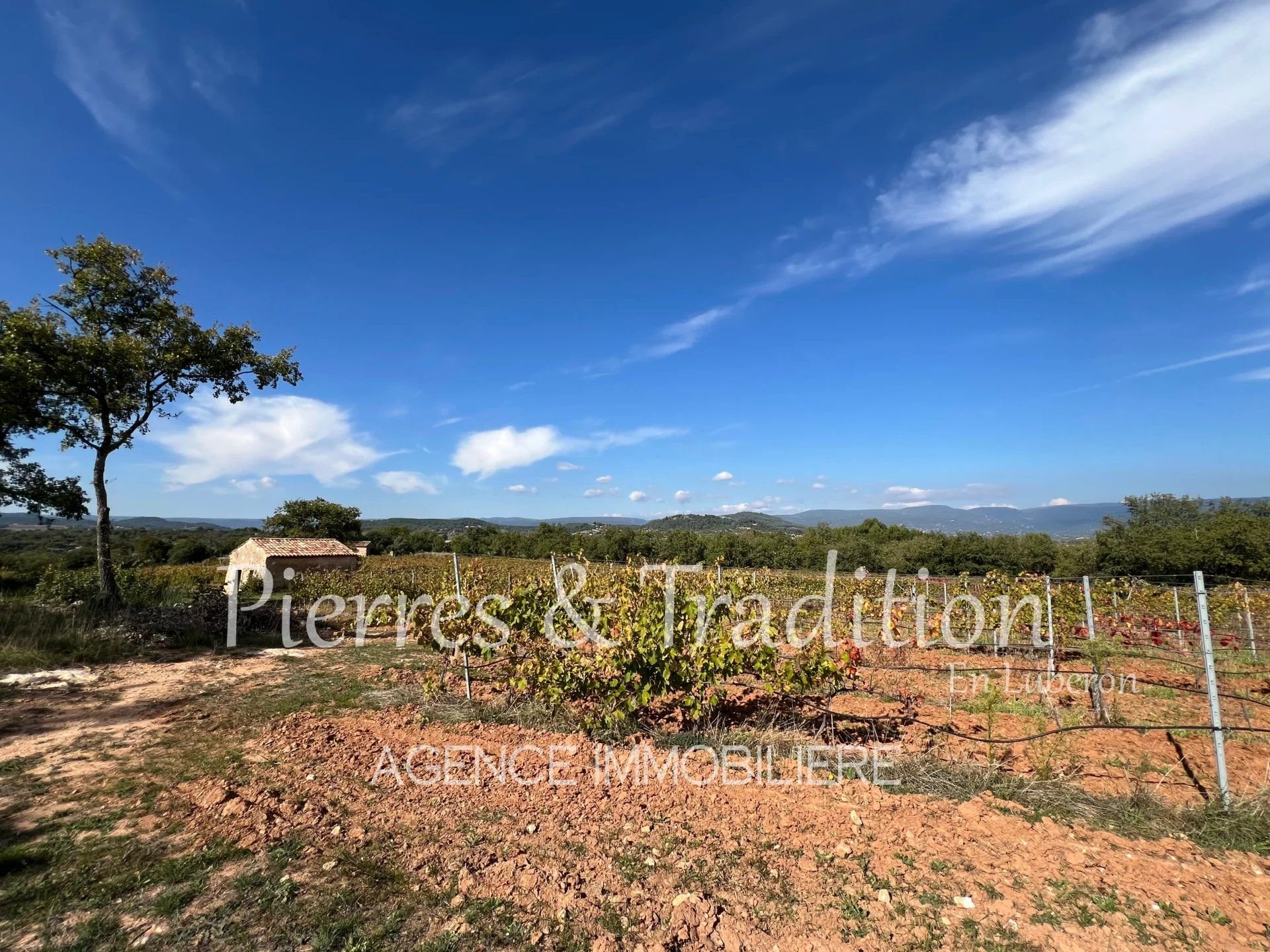 Propriété rénovée au coeur du Luberon avec piscine, cabanons et vignes