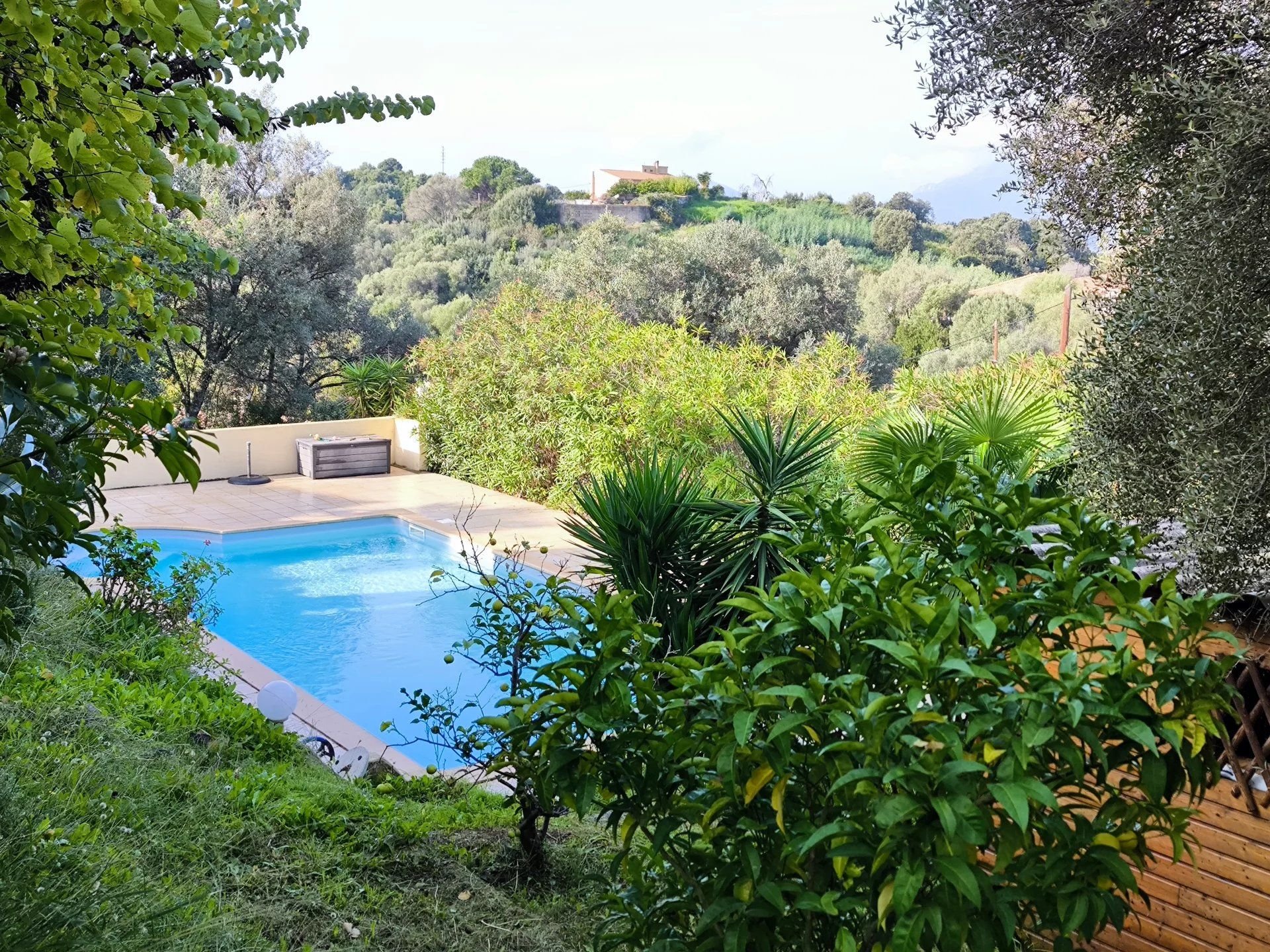 VILLA BASTELICACCIA PISCINE