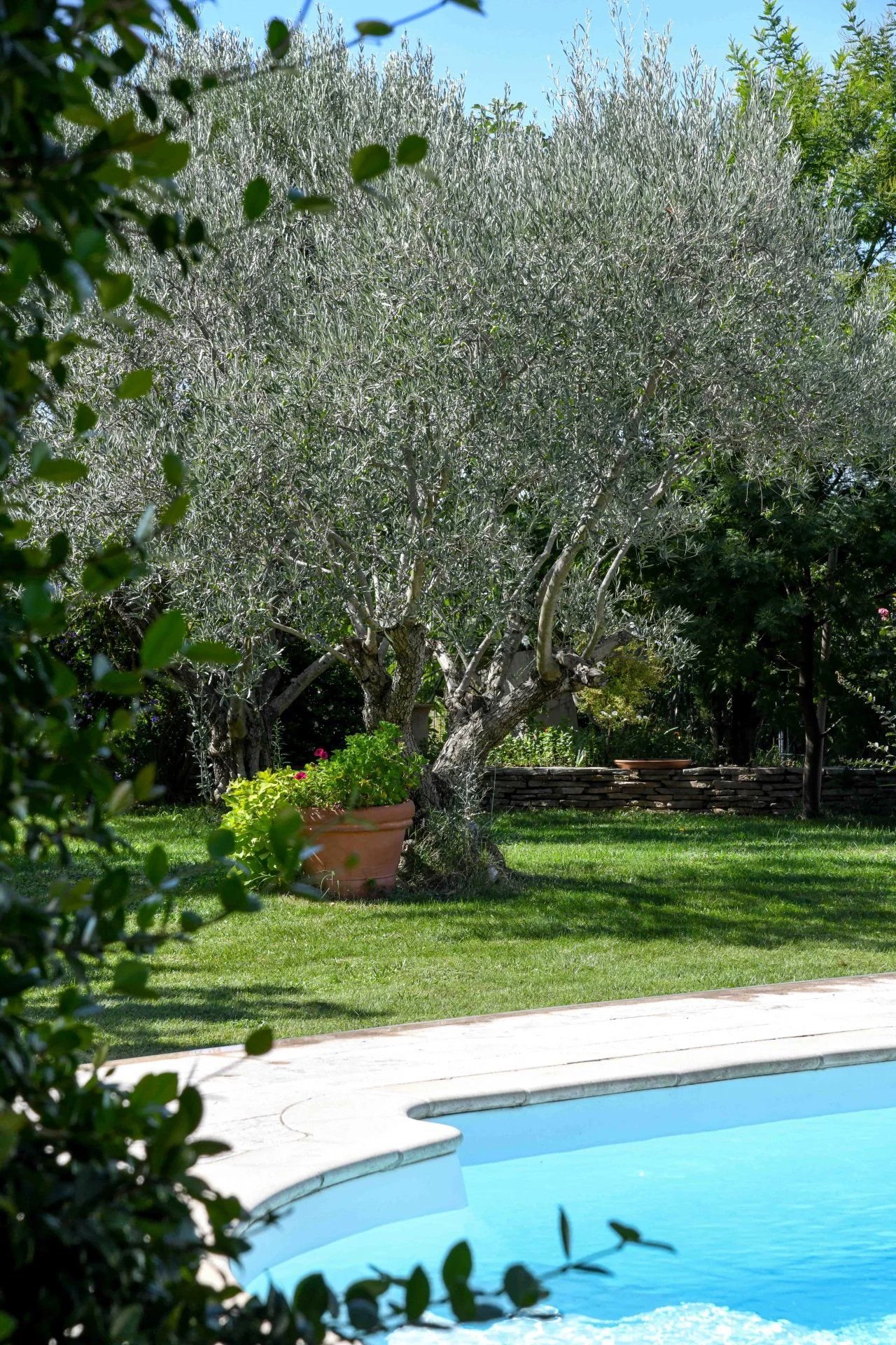 Élégante propriété de plain-pied de 199 m² avec piscine, dans un village prisé