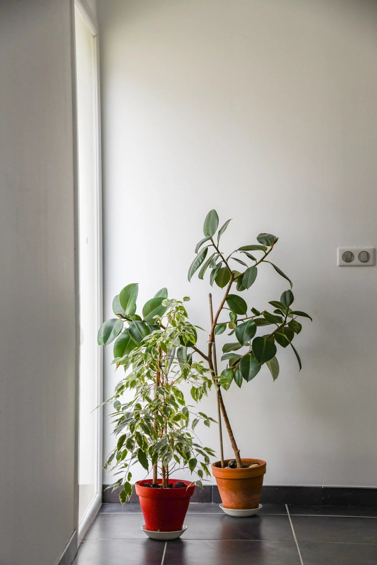 Uzès : maison méridionale avec jardin paysagé
