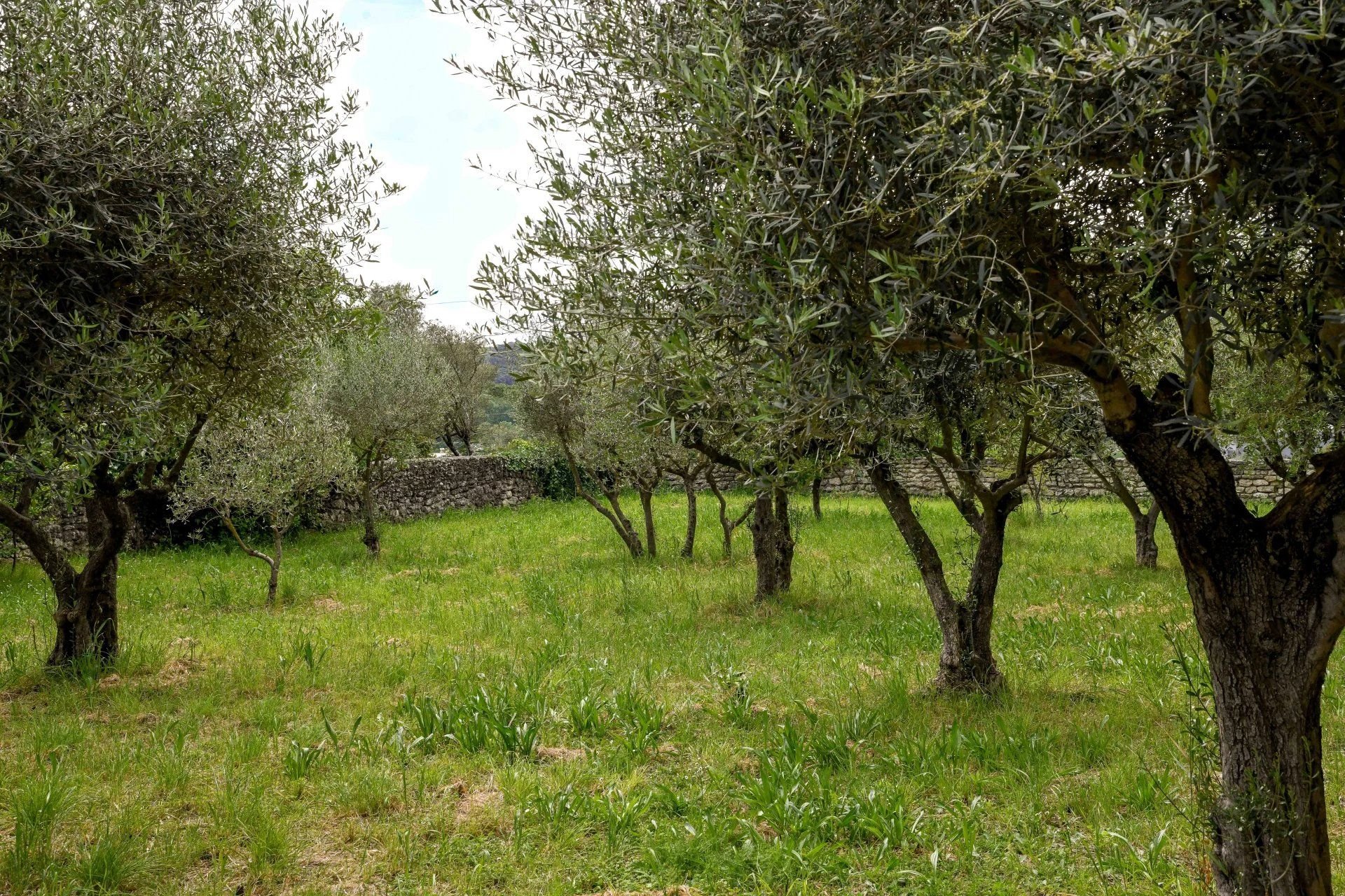 Uzes: propriété avec piscine, jardin et profondes vues jusqu’aux Cévennes