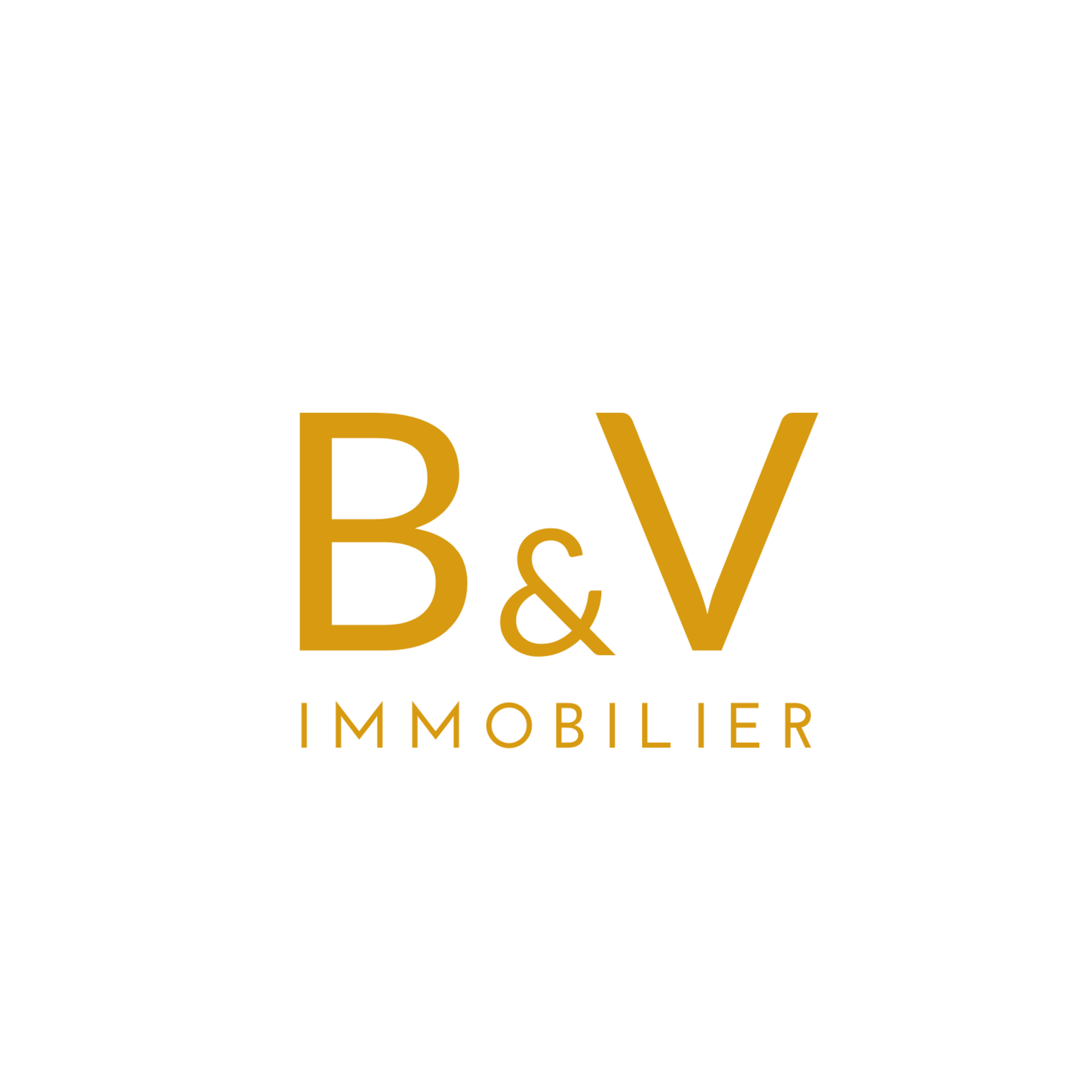 Logo Biens & Vous