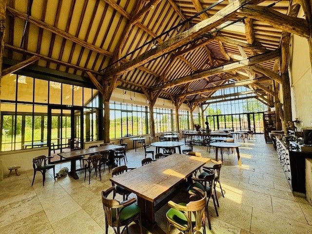 🌿 L’Étoile Verte Michelin : quand gastronomie et écologie s’unissent