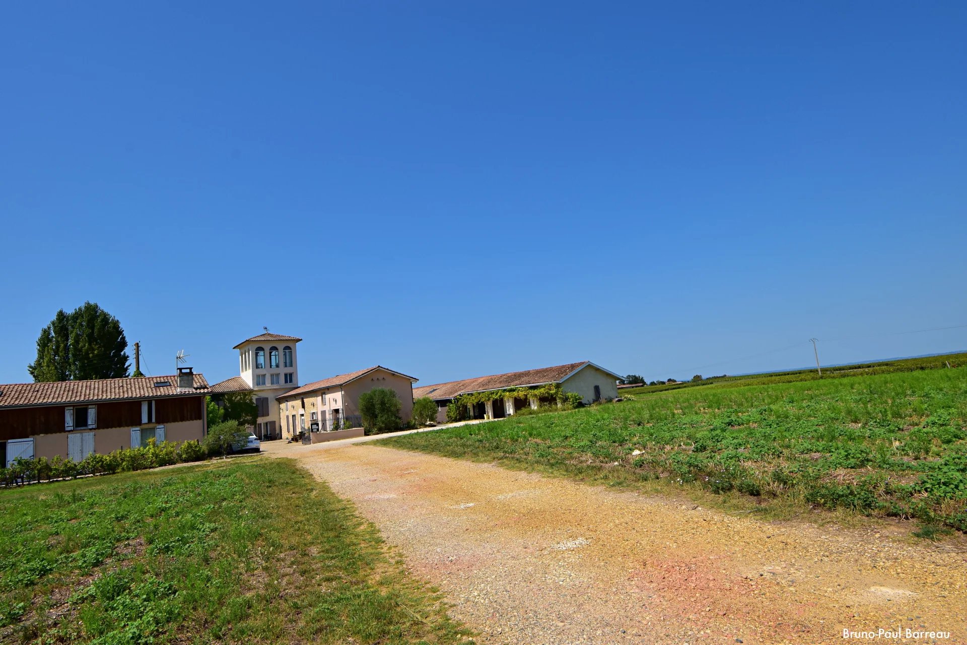 CHATEAU VITICOLE, BORDEAUX, SAUTERNES, VUE PANORAMIQUE UNIQUE