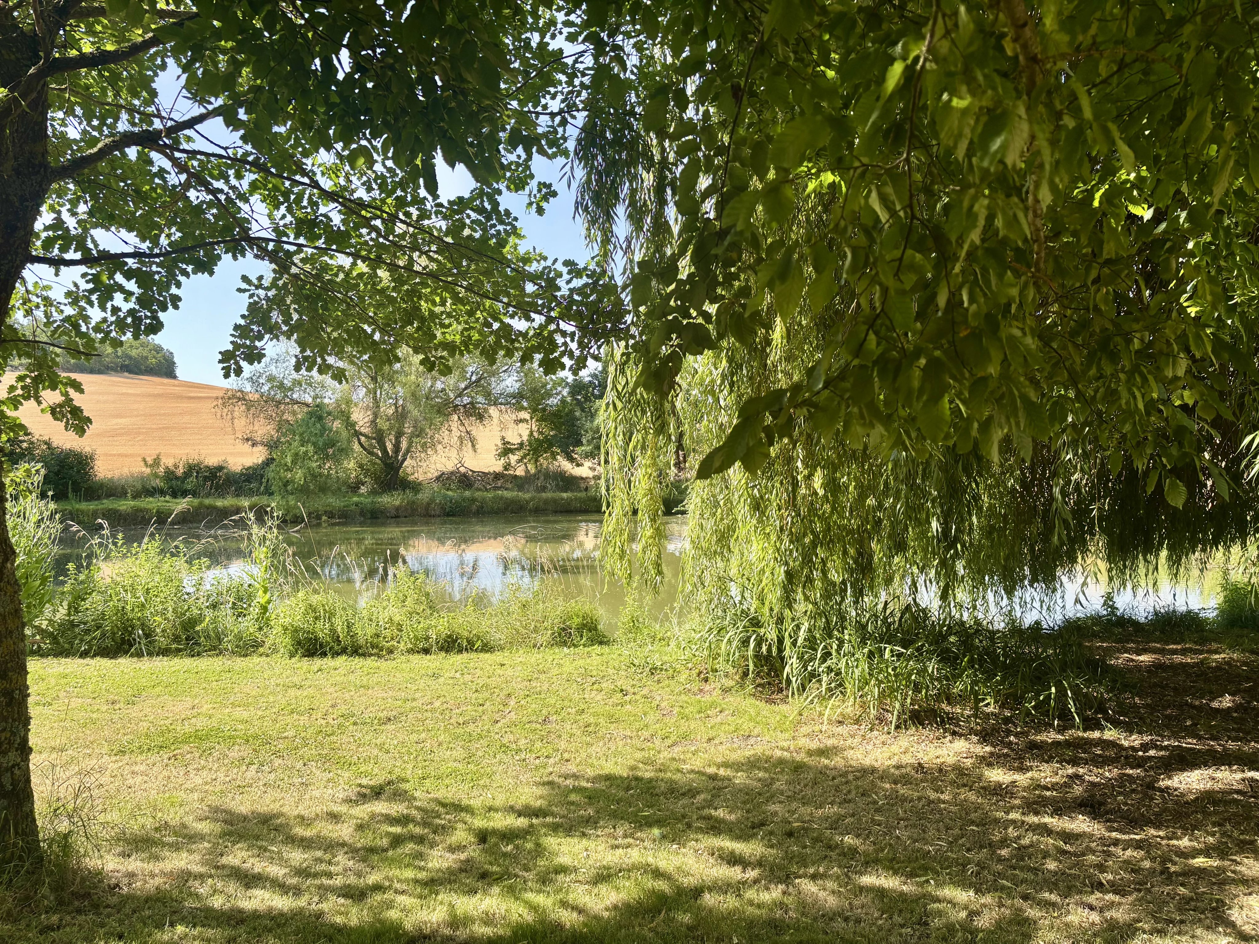 Magnifique propriété avec piscine et lac