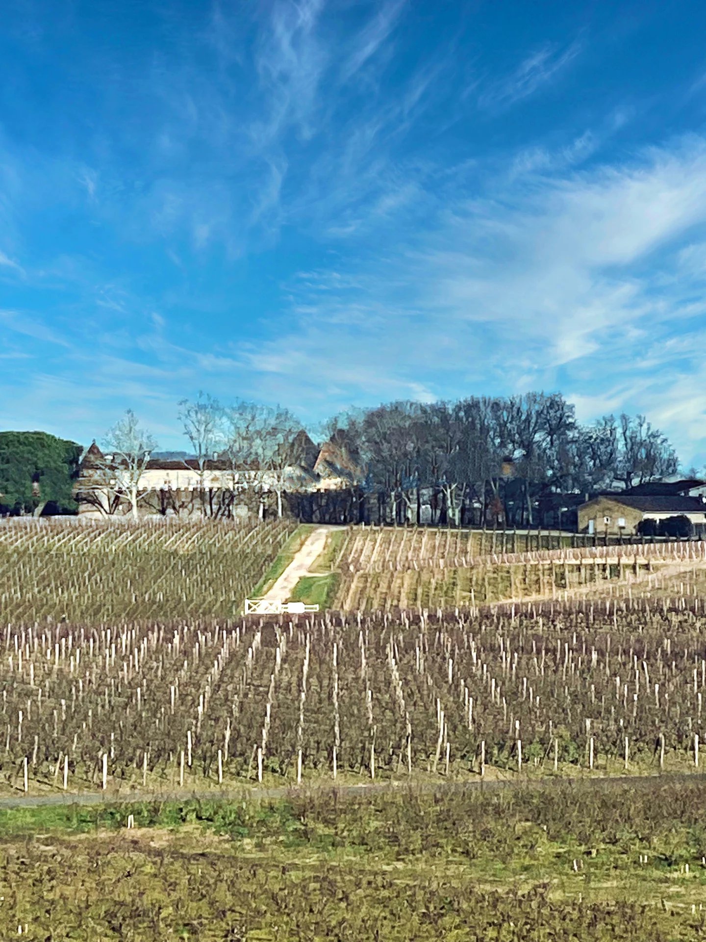 CHATEAU VITICOLE, BORDEAUX, SAUTERNES, VUE PANORAMIQUE UNIQUE
