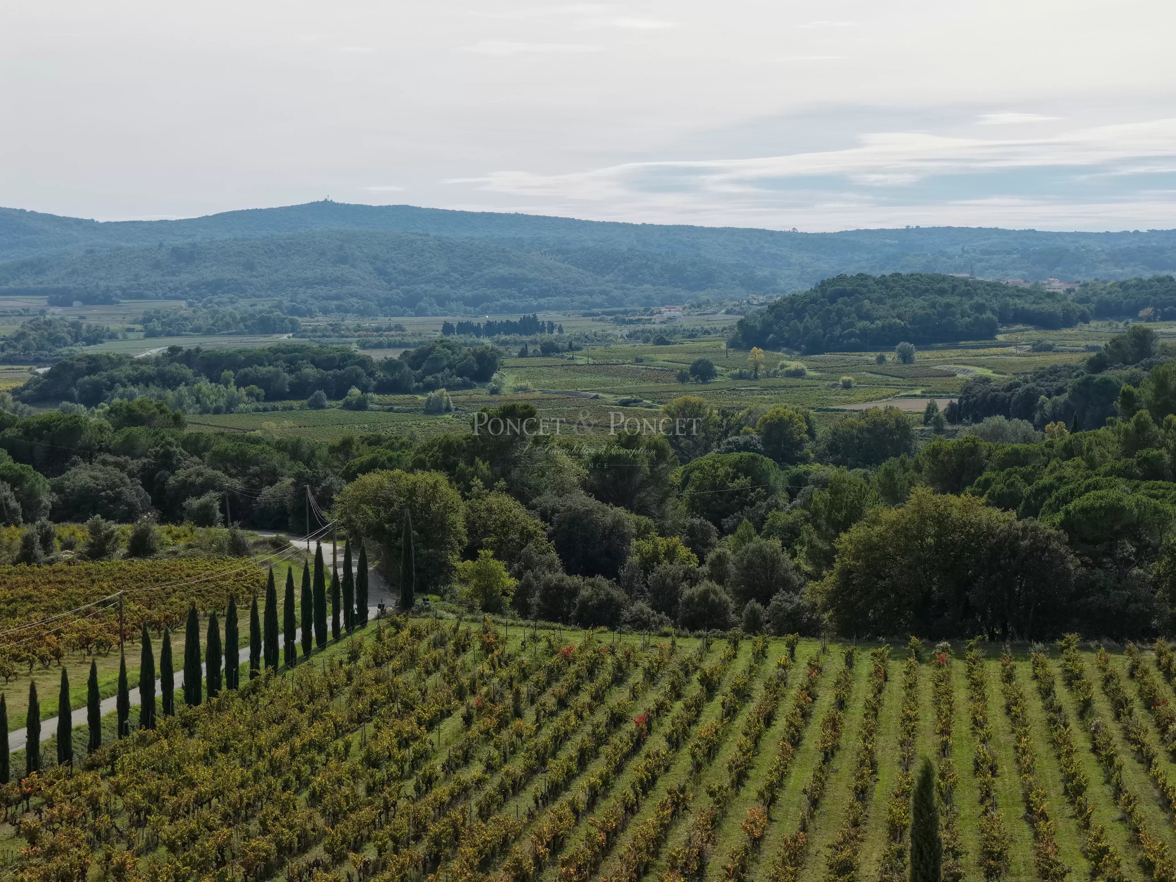 Villa contemporaine de plain pied avec avec vue panoramique sur les vignes et les collines environnantes