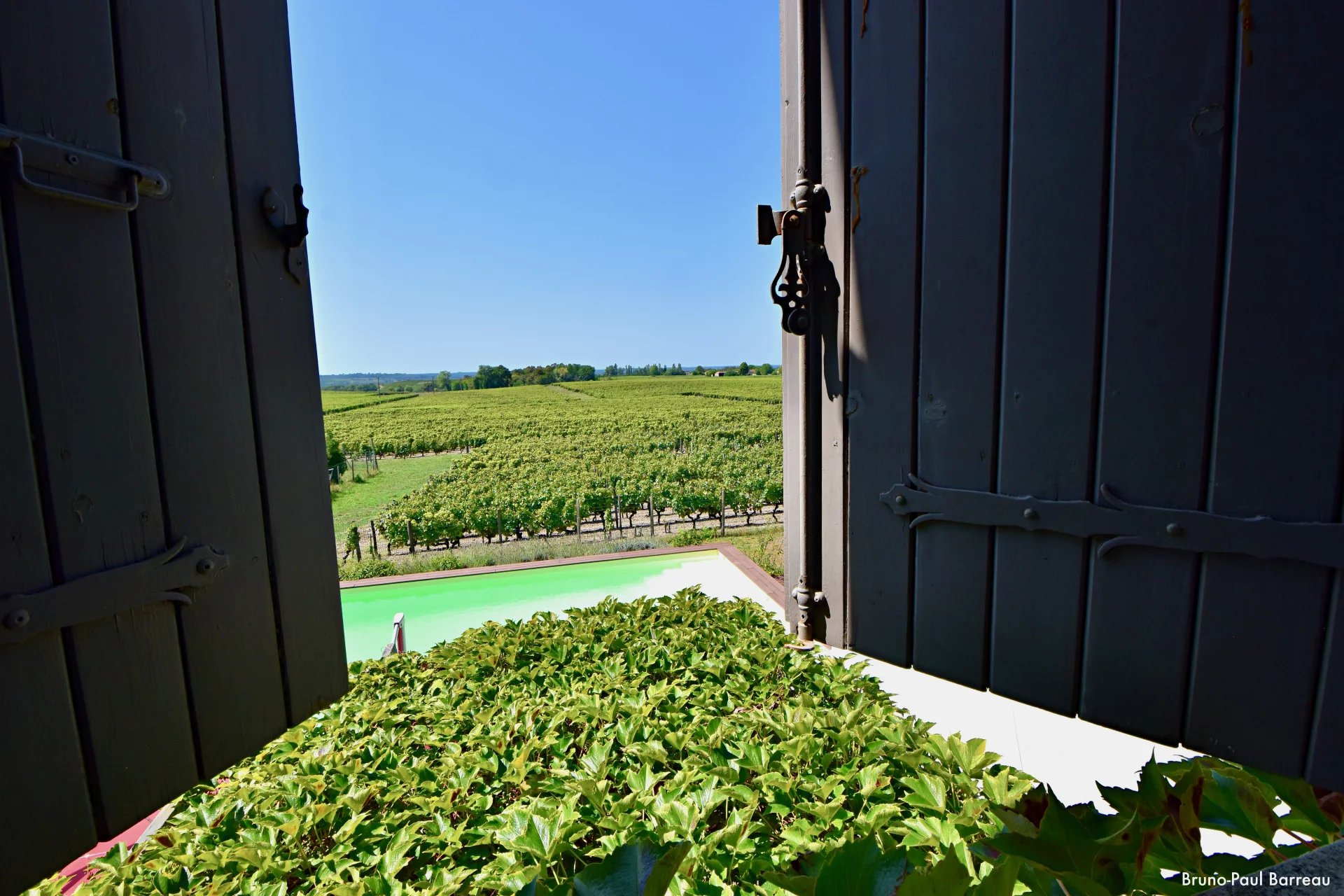 CHATEAU VITICOLE, BORDEAUX, SAUTERNES, VUE PANORAMIQUE UNIQUE