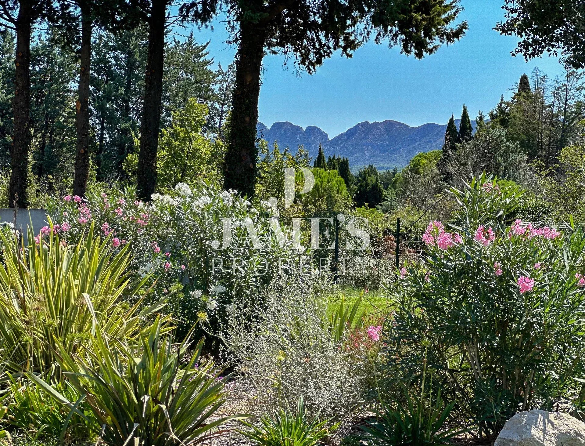 Mas contemporain avec vue  - Saint-Rémy-de-Provence