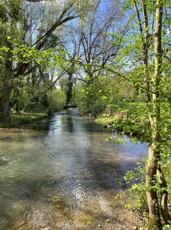 Propriété équestre à 10mn de Fontainebleau! 