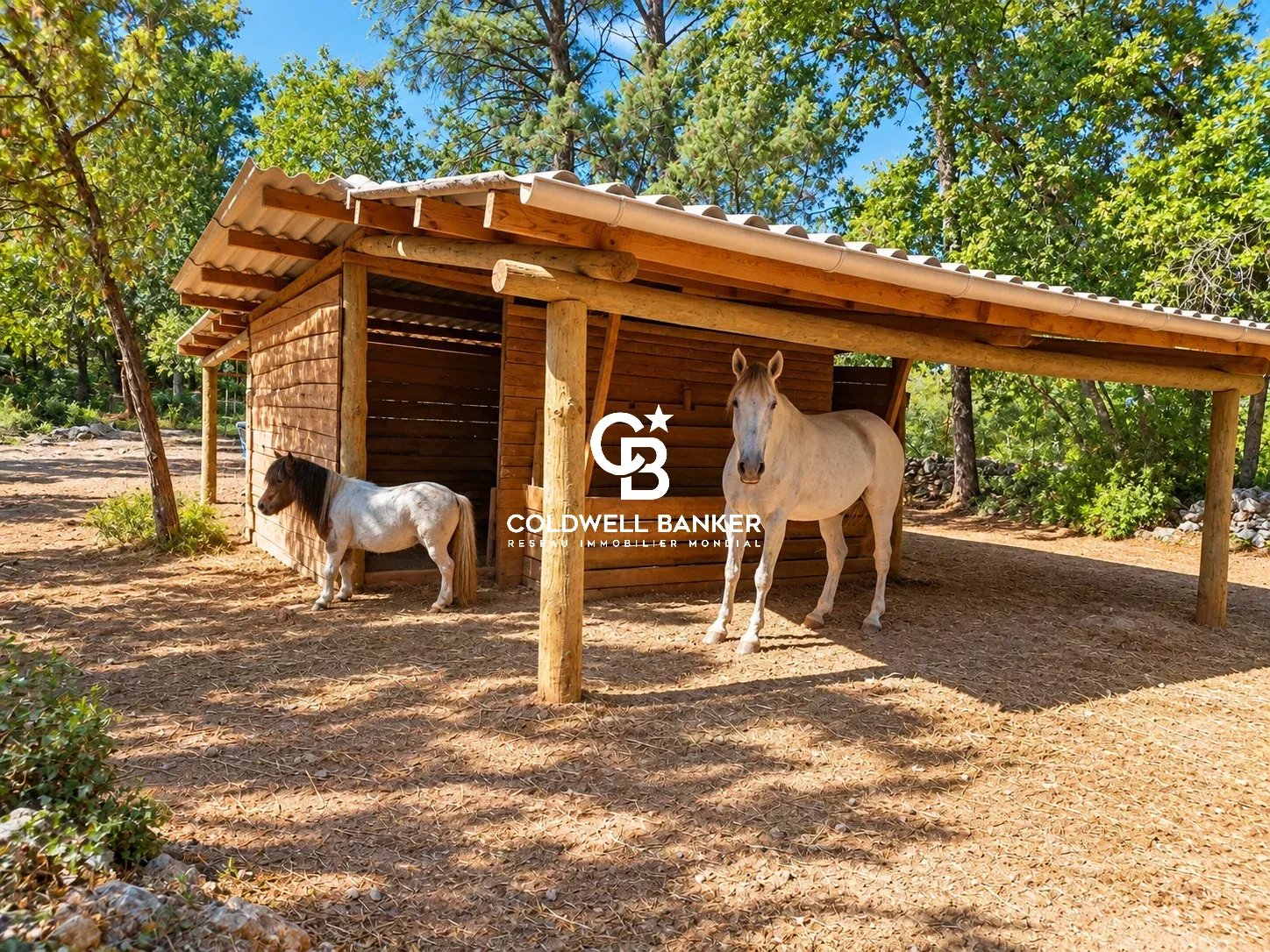 Fayence Propriété de charme avec maison d'amis et installations équestres