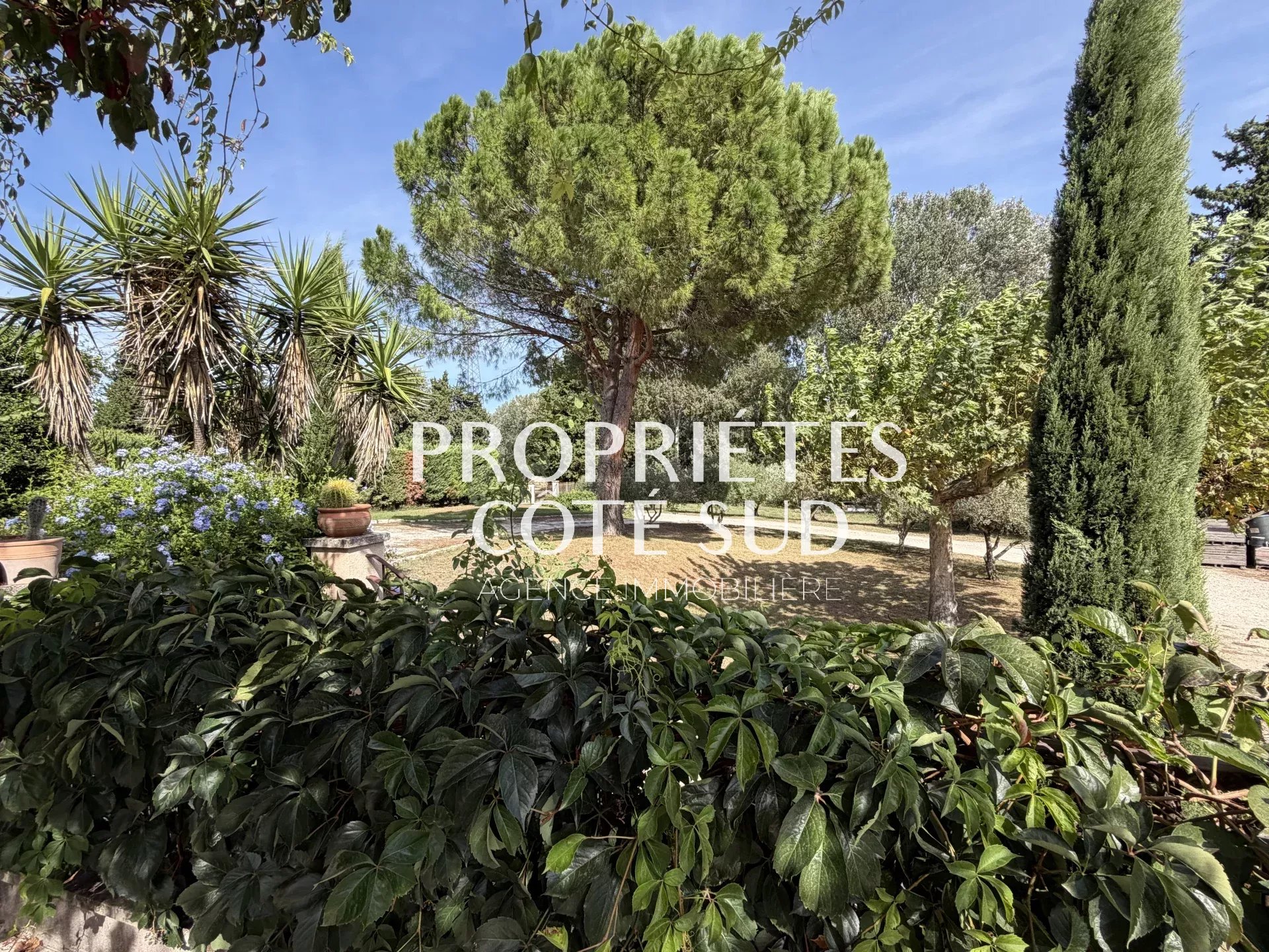 AVIGNON LA BARTHELASSE ENSEMBLE IMMOBILIER