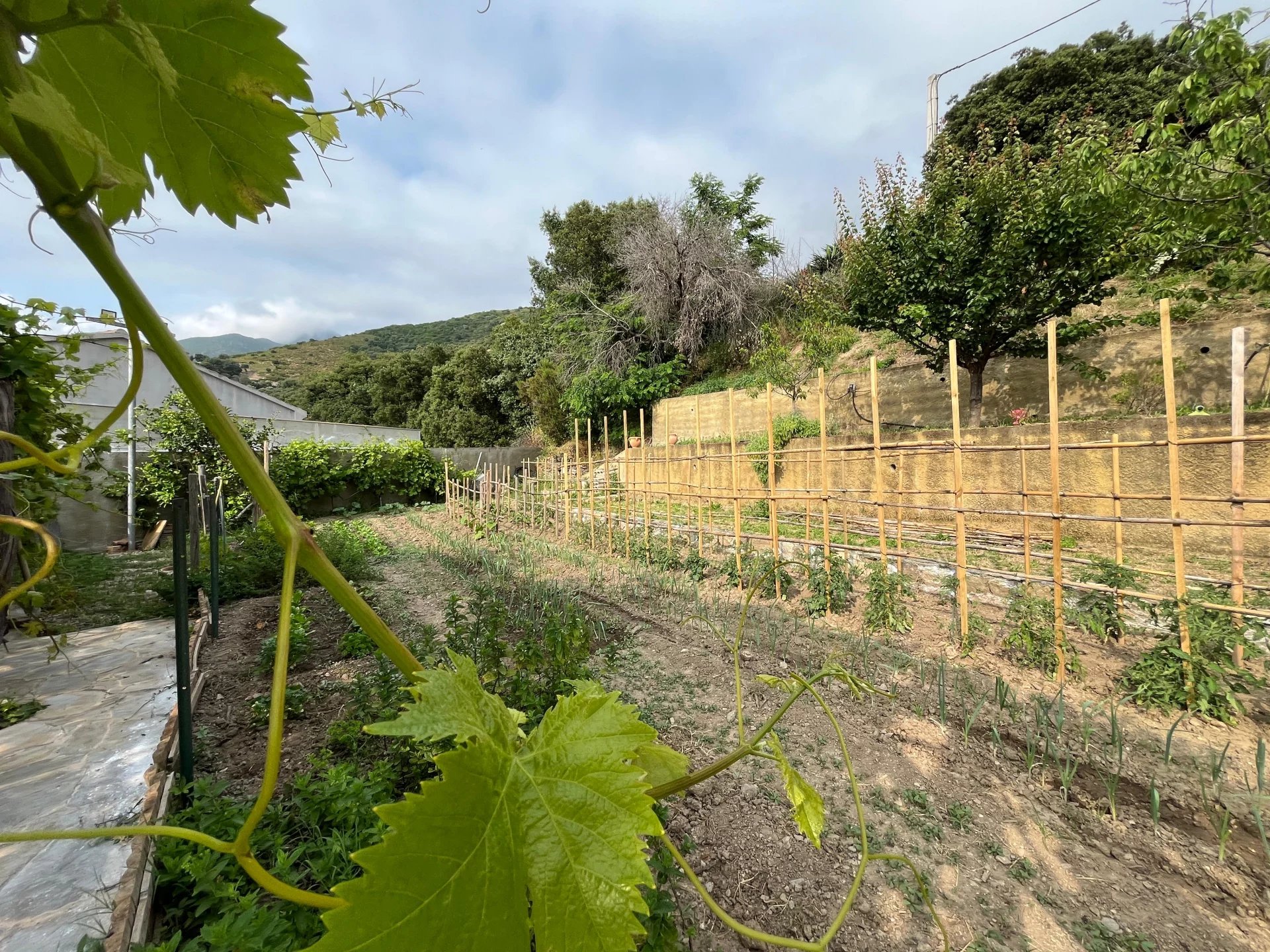 5 MINUTES FROM SAINT-FLORENT