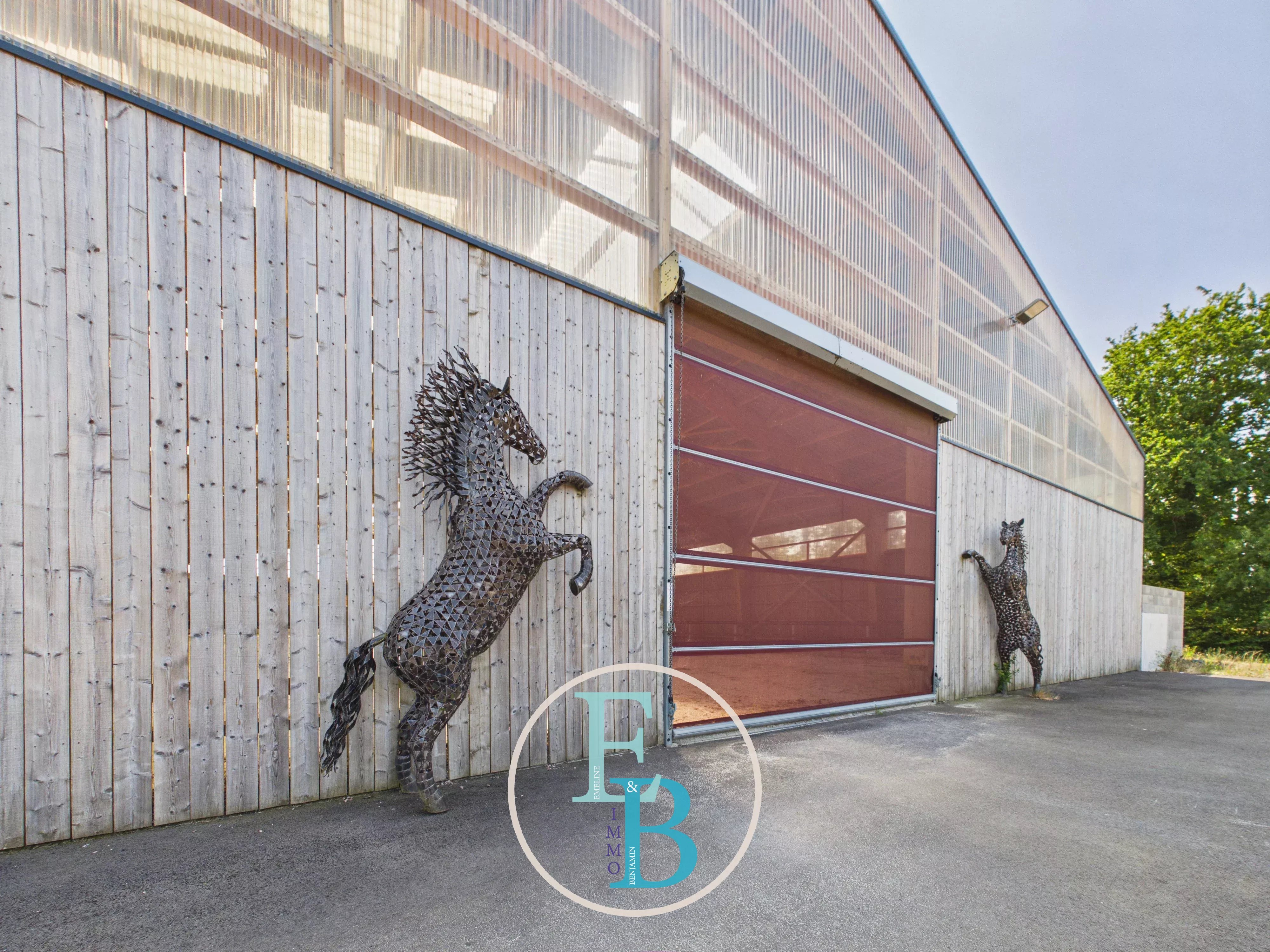 GRANGUES (PAYS D'AUGE) - CENTRE D'ENTRAINEMENT ET DE REEDUCATION EQUIN AVEC BALNEOTHERAPIE