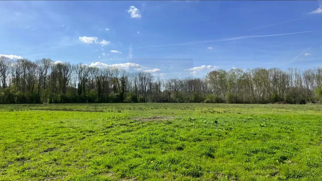Propriété équestre à 10mn de Fontainebleau! 