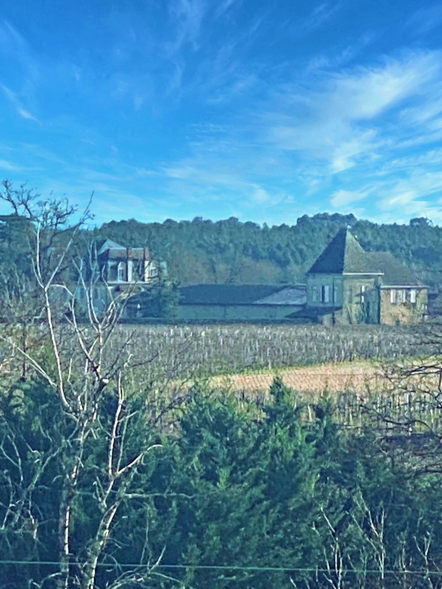 CHATEAU VITICOLE, BORDEAUX, SAUTERNES, VUE PANORAMIQUE UNIQUE