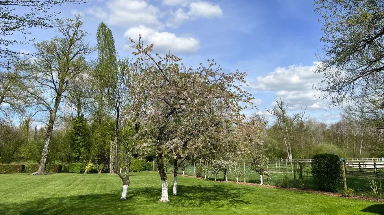 Propriété équestre à 10mn de Fontainebleau! 
