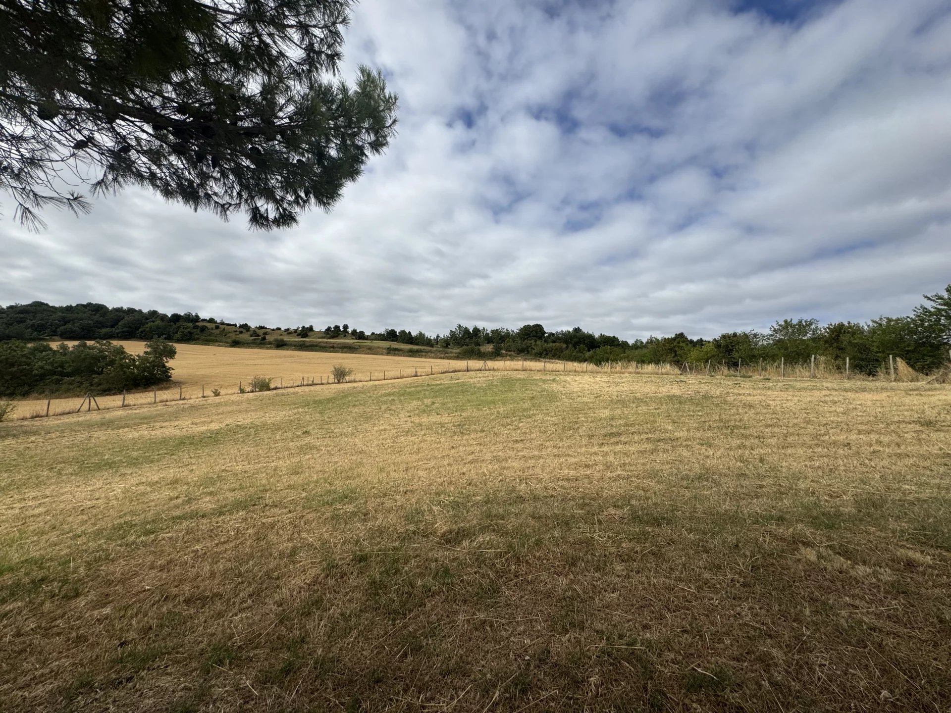 Domaine versatile dans le Lauragais