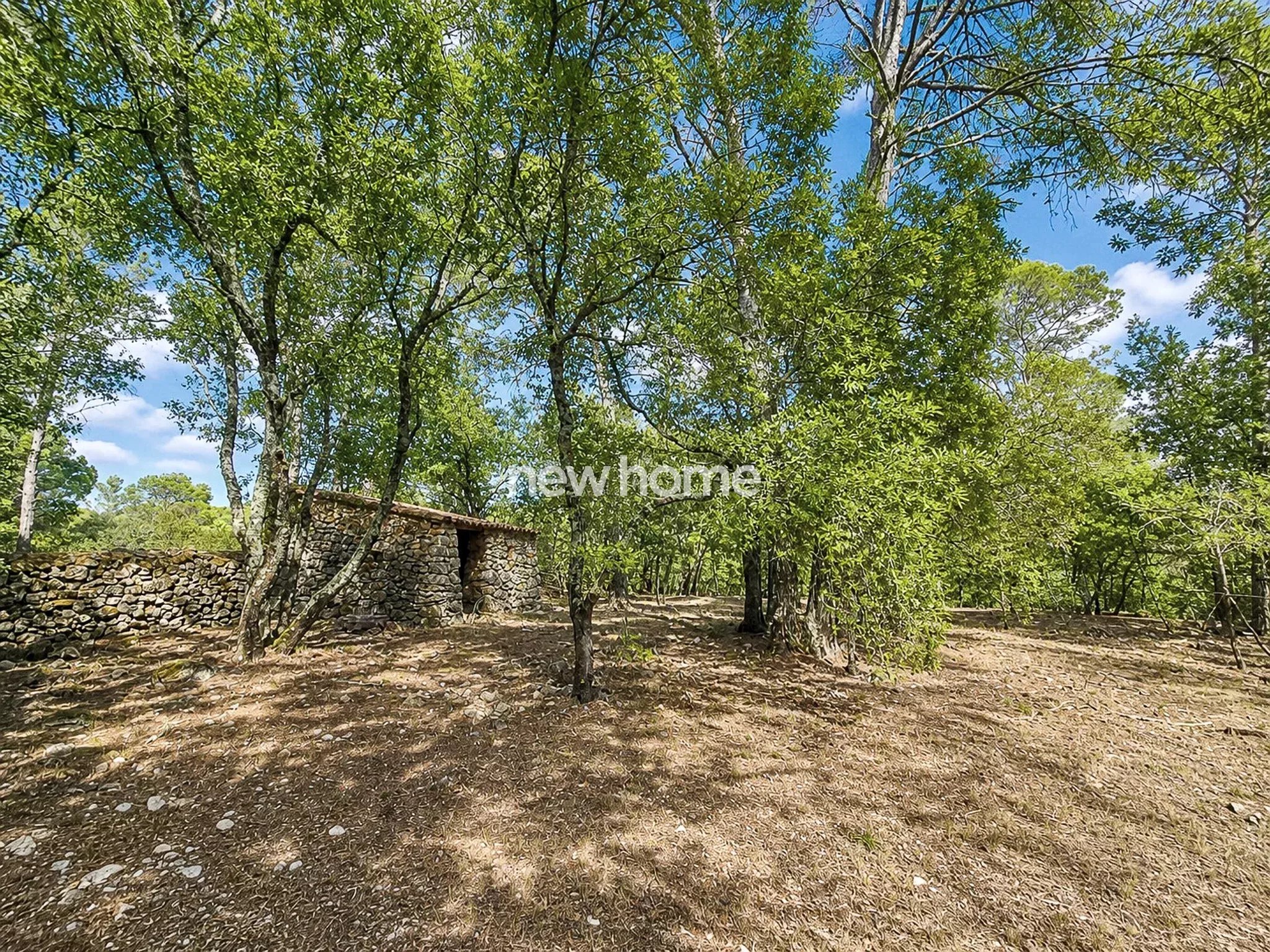 Carcès – Propriété d’exception de 300 m² avec piscine, vue panoramique et 3,5 hectares