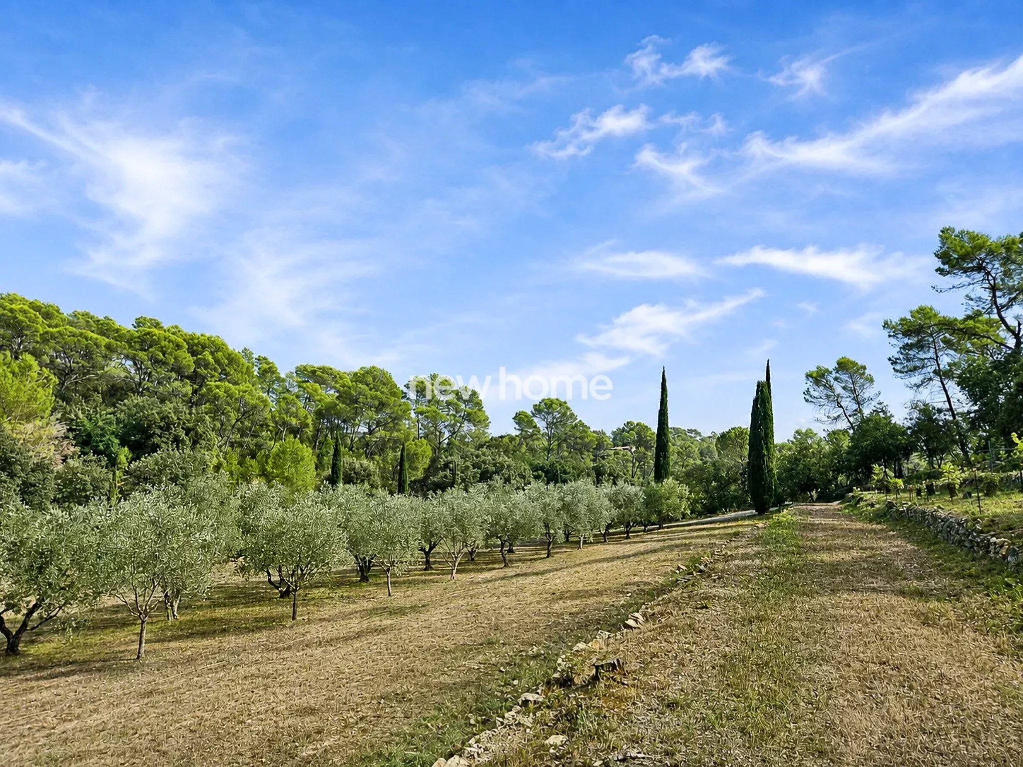 Carcès – Propriété d’exception de 300 m² avec piscine, vue panoramique et 3,5 hectares