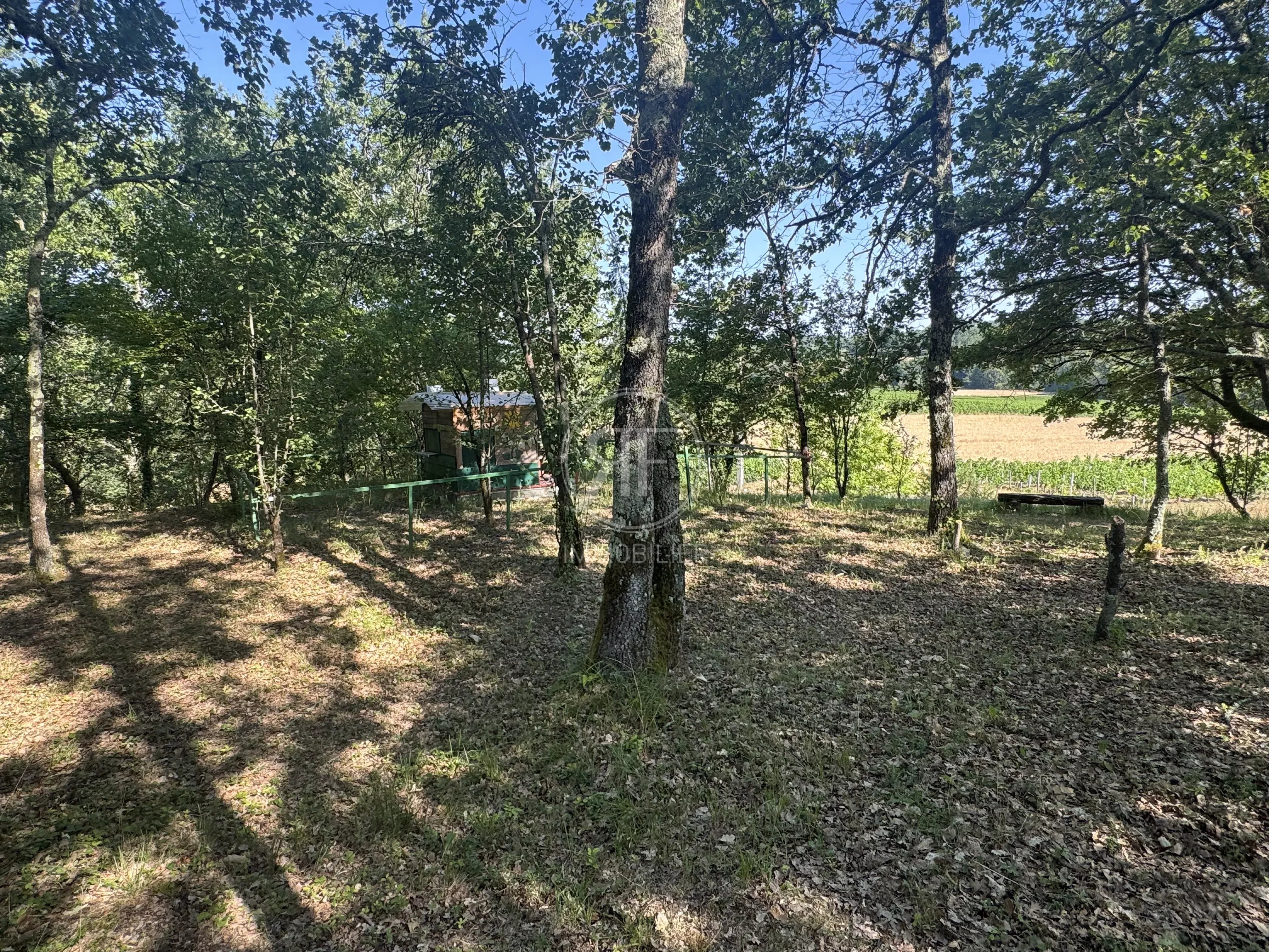 Maison familiale + dépendances avec jardin et piscine