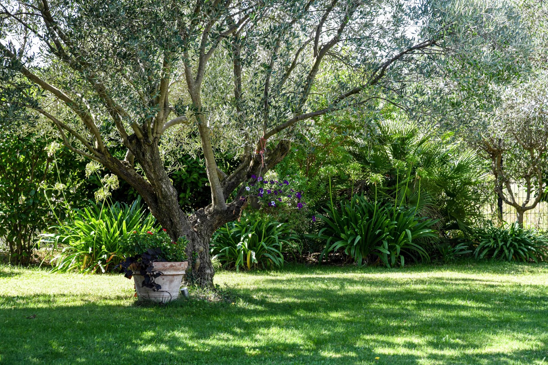 Elegant Single-Storey Property of 196 m² with Pool